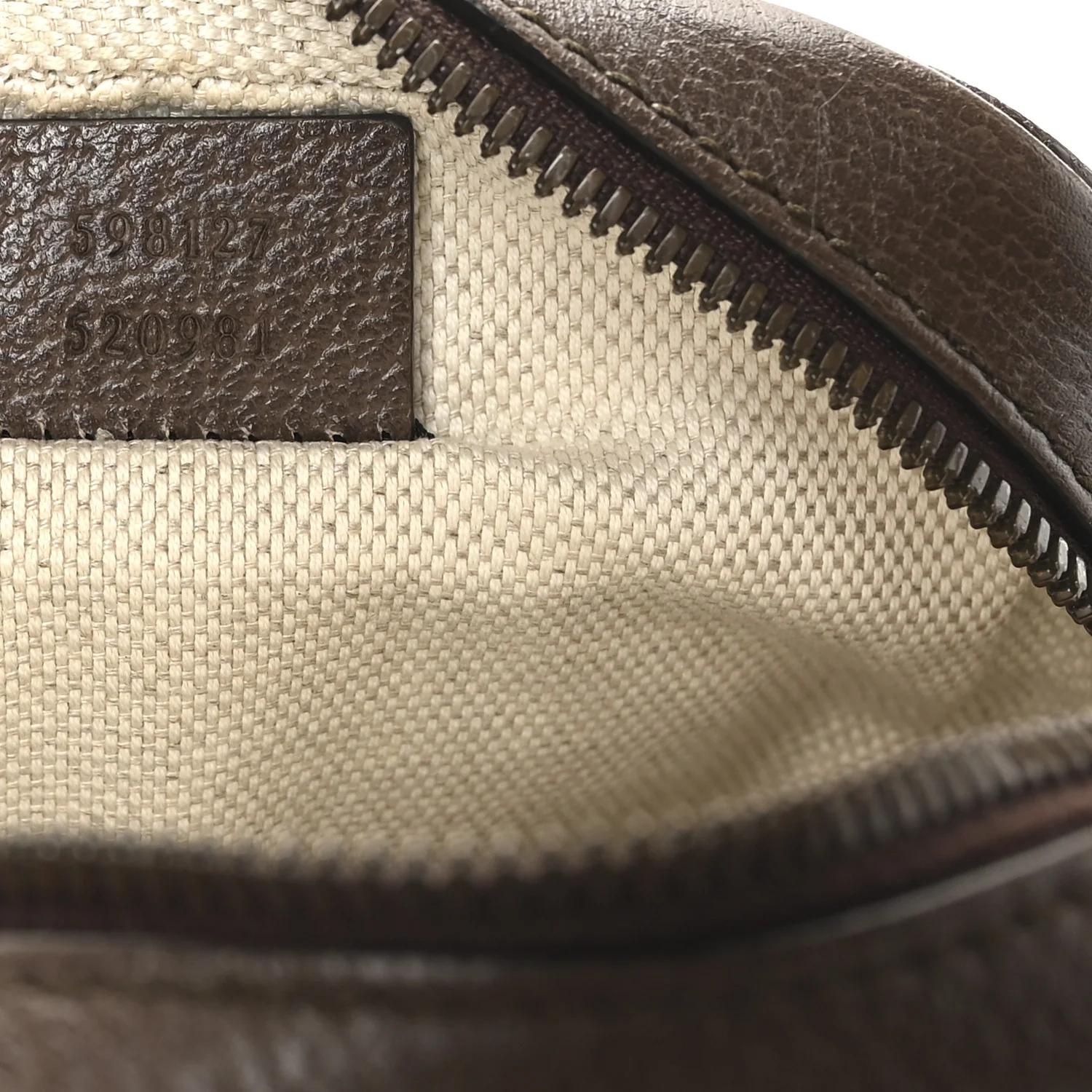 GG Supreme Monogram Web Mini Ophidia Messenger Brown