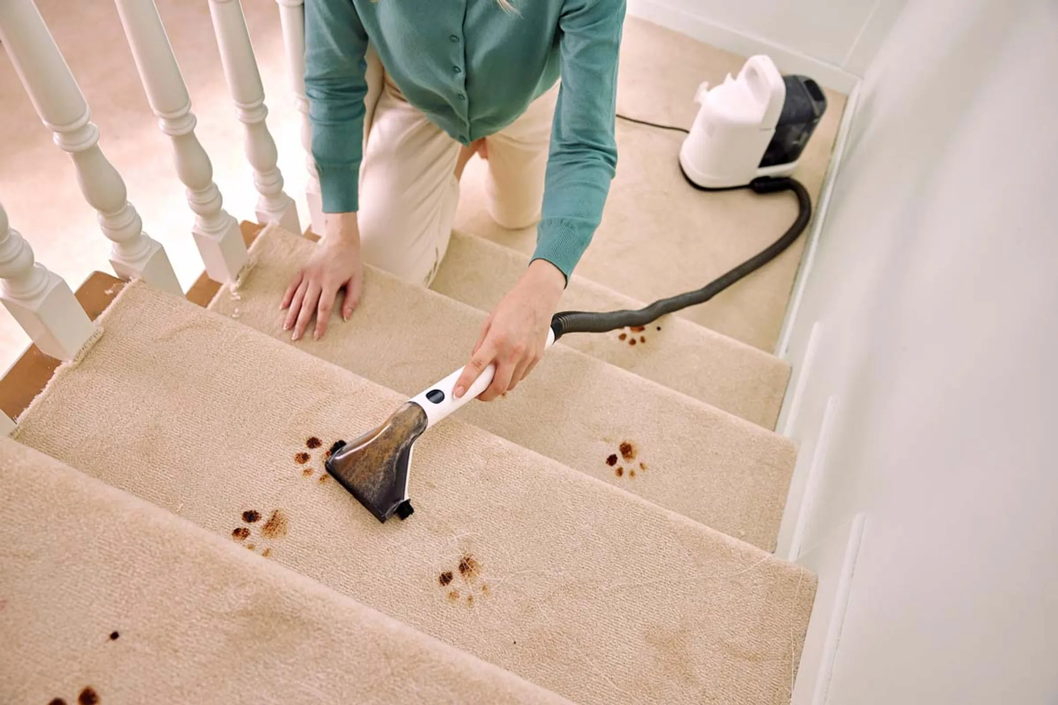 TINECO Tapijtreiniger iCarpet Spot