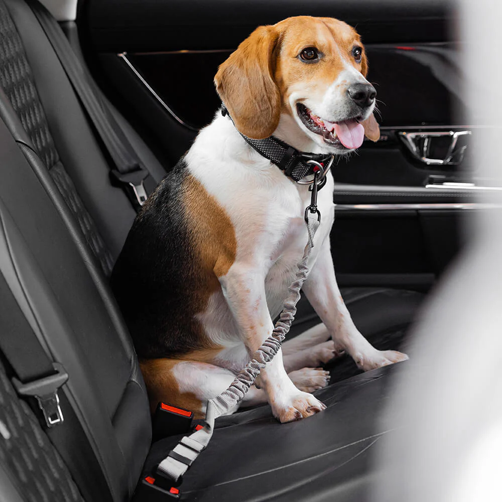 Car Seat Belt Buffer Adjustable Cool Dog Accessories