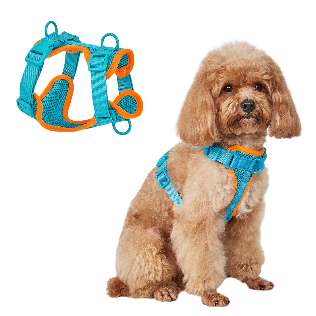 Adjustable Pet Harness Vest Multi-Color Comfort Mesh Dog Harness for Small Medium Large Cats Puppies Dogs Polyester