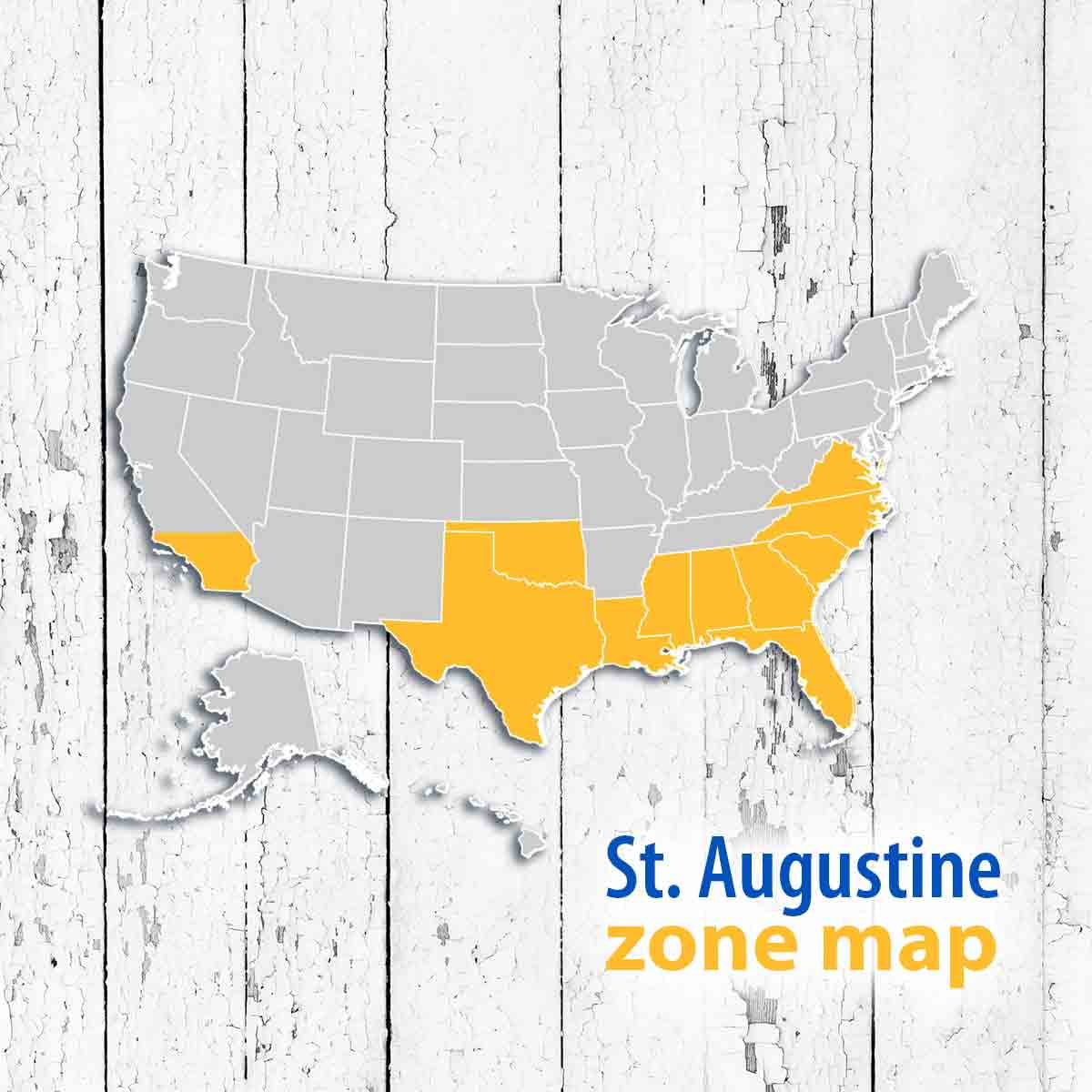 St. Augustine 500 Sq. Ft. Sod Pallet