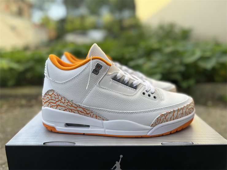 Jordan Air Jordan 3 Retro 