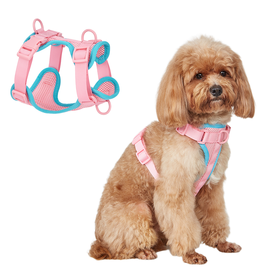 Adjustable Pet Harness Vest Multi-Color Comfort Mesh Dog Harness for Small Medium Large Cats Puppies Dogs Polyester
