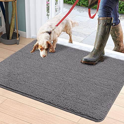 DEXI Door Mat Entryway Doormat Front Entrance Non-Slip Low Profile Washable for Inside Entry 31.5