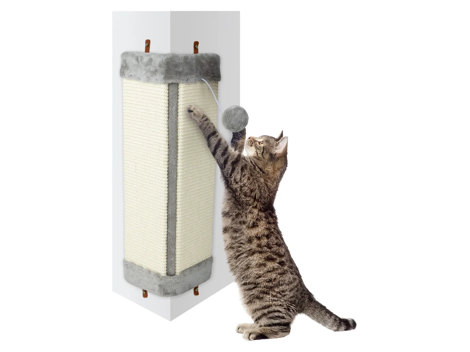 zoofari Griffoir pour chat