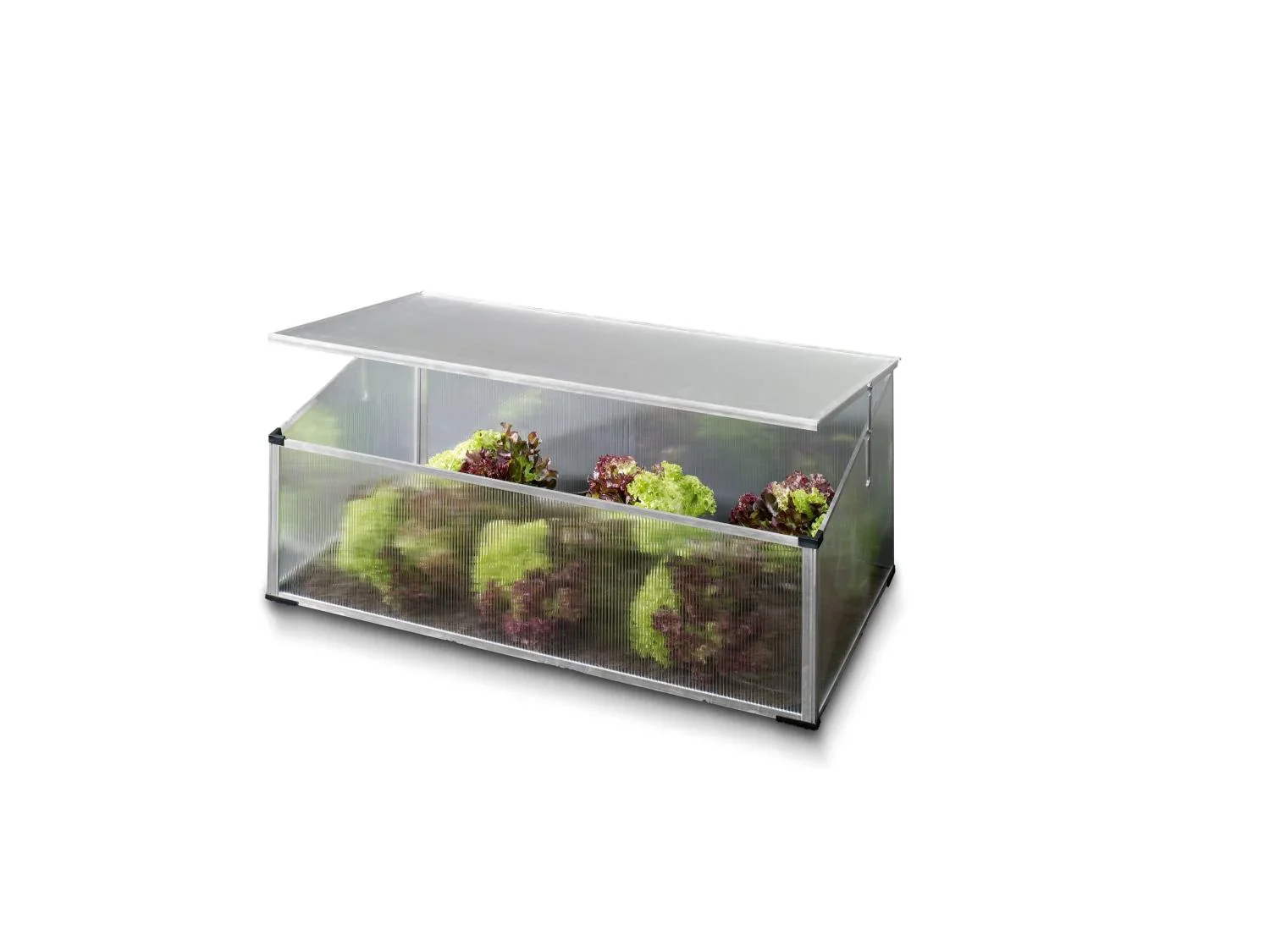 PARKSIDE Mini-serre de jardin
