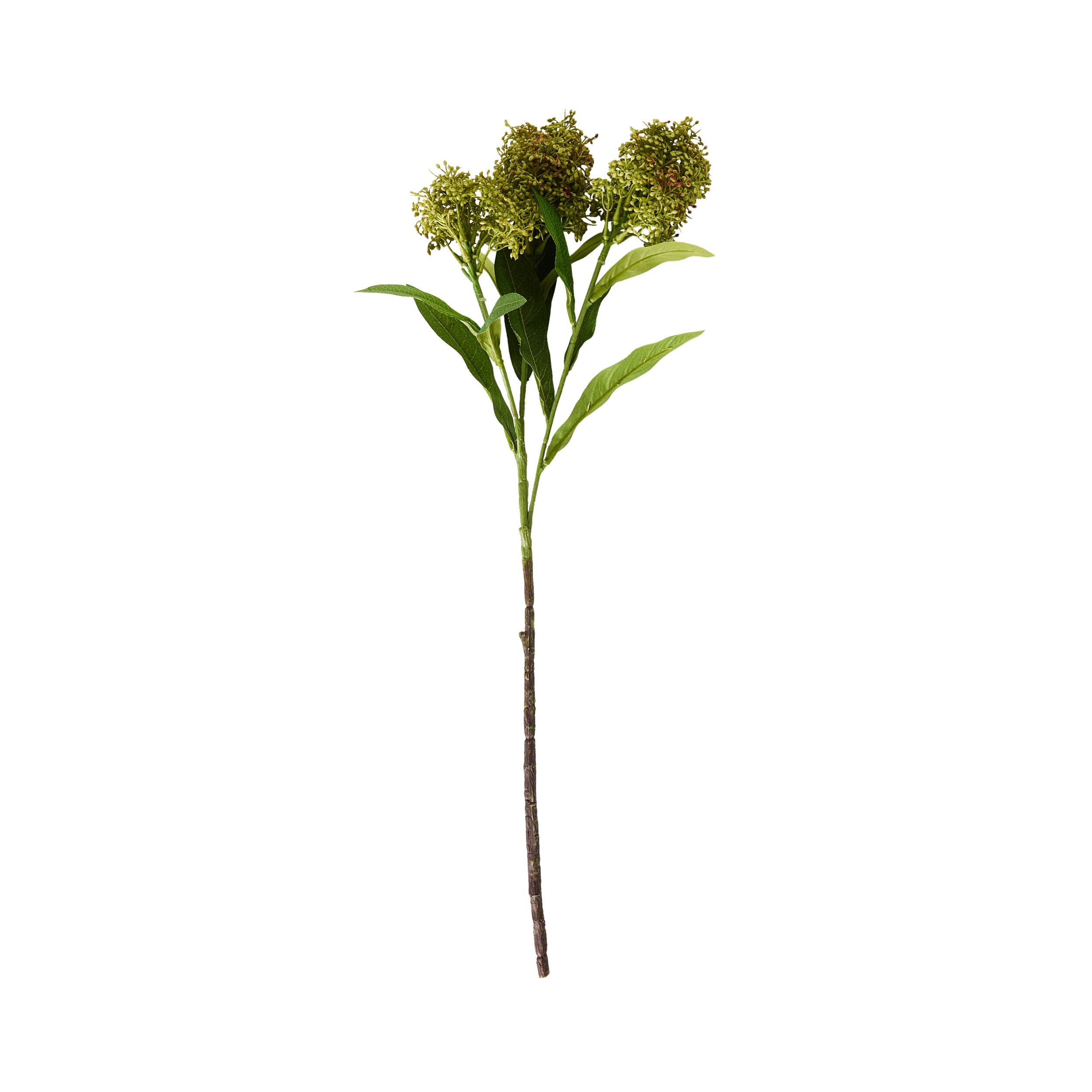 Bloomery Viburnum Stem Green 57cm