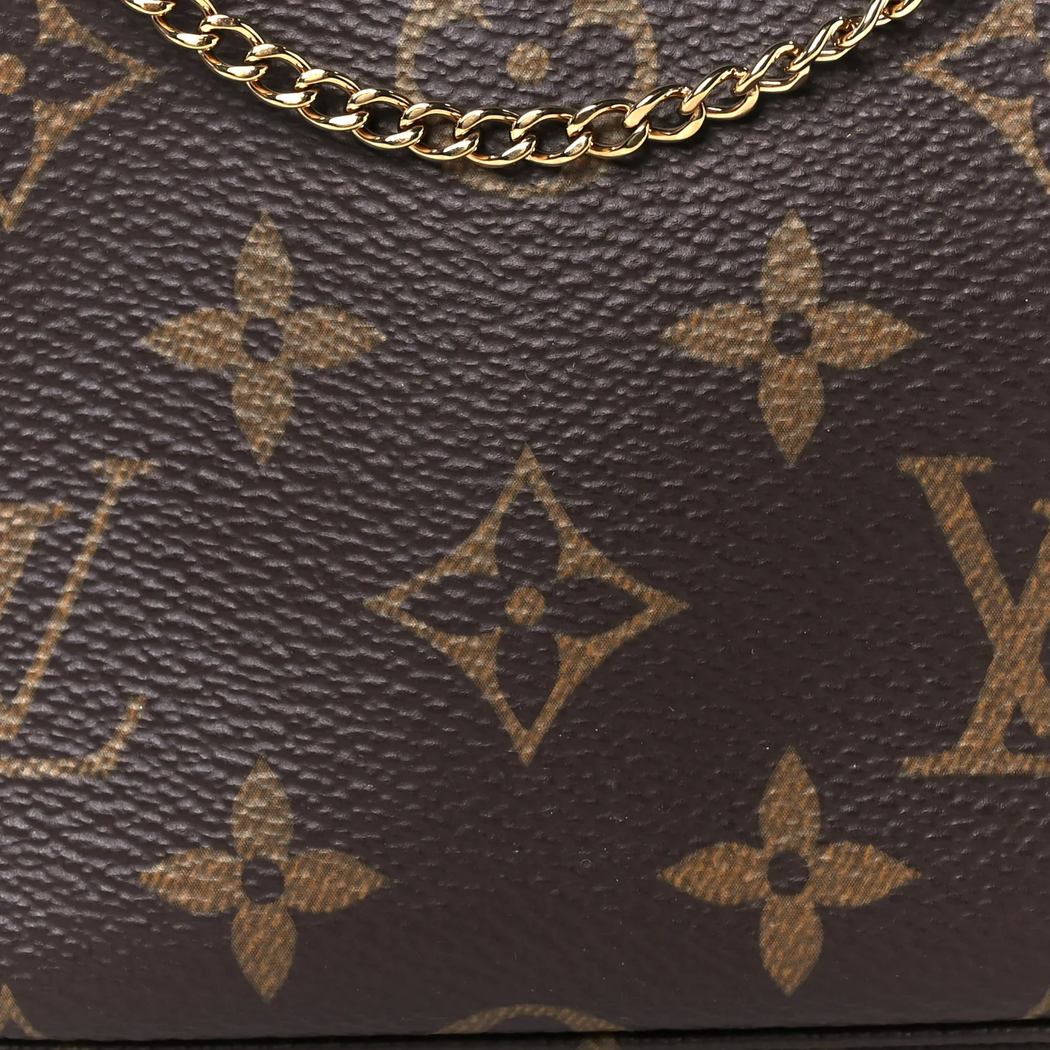 Monogram Mini Pochette Accessories