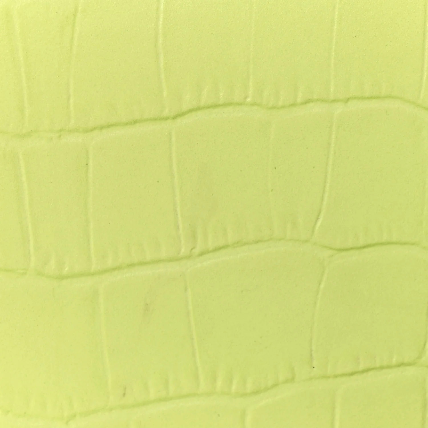 Calfskin Crocodile Embossed Le Chiquito Light Green