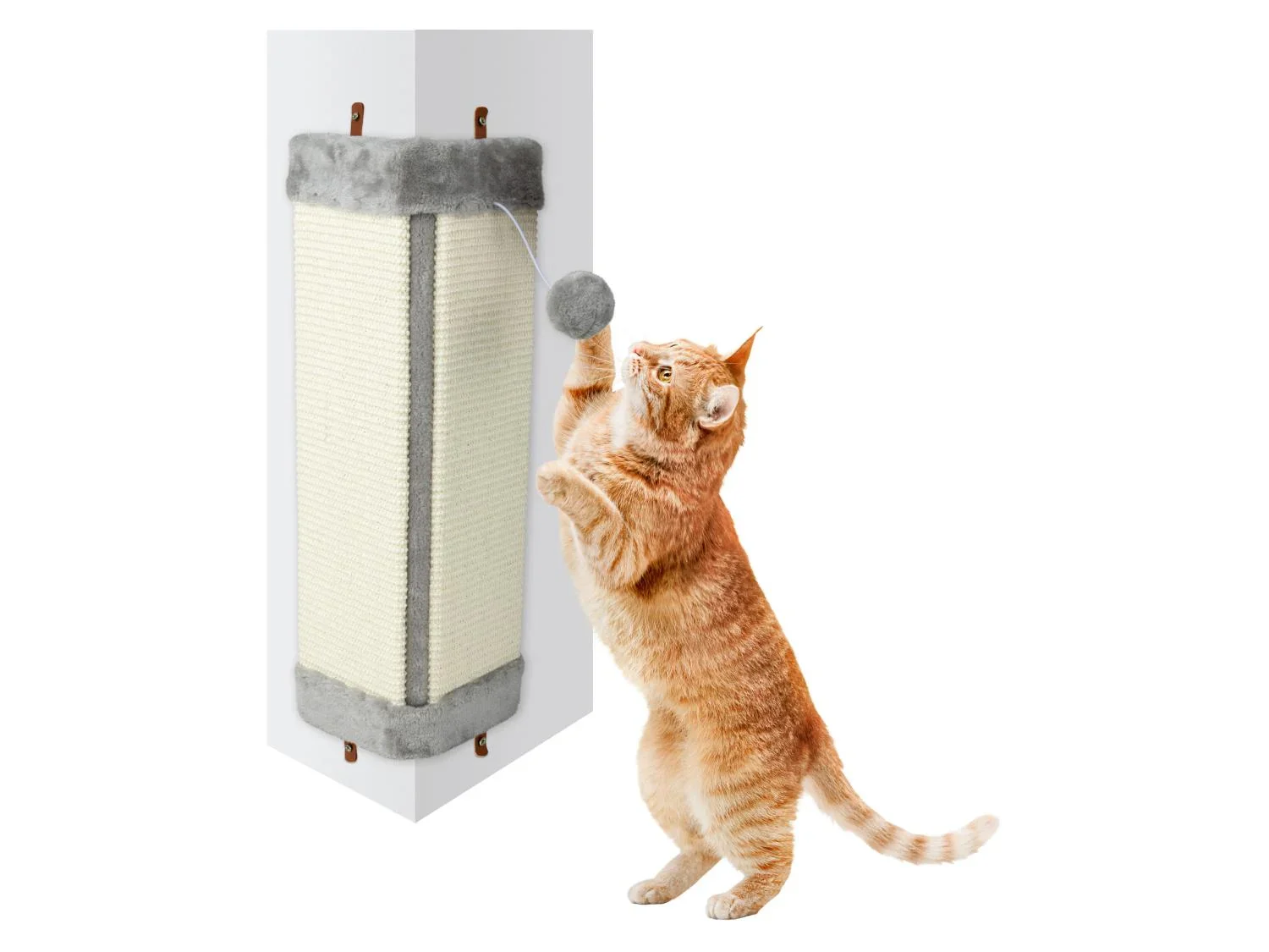 zoofari Griffoir(s) pour chat
