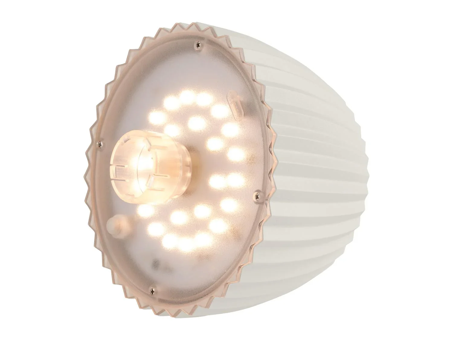 LIVARNO Lampe  LED rechargeable pour bouteille