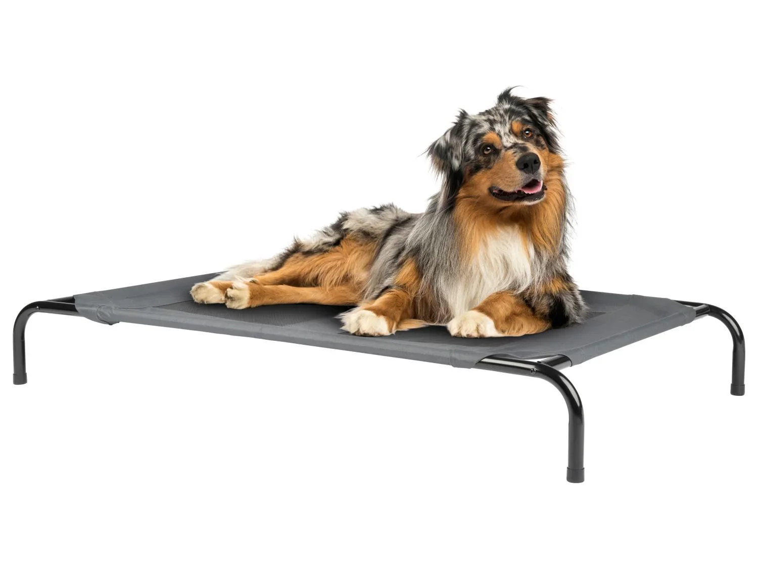 zoofari Lit de camp pour animal domestique