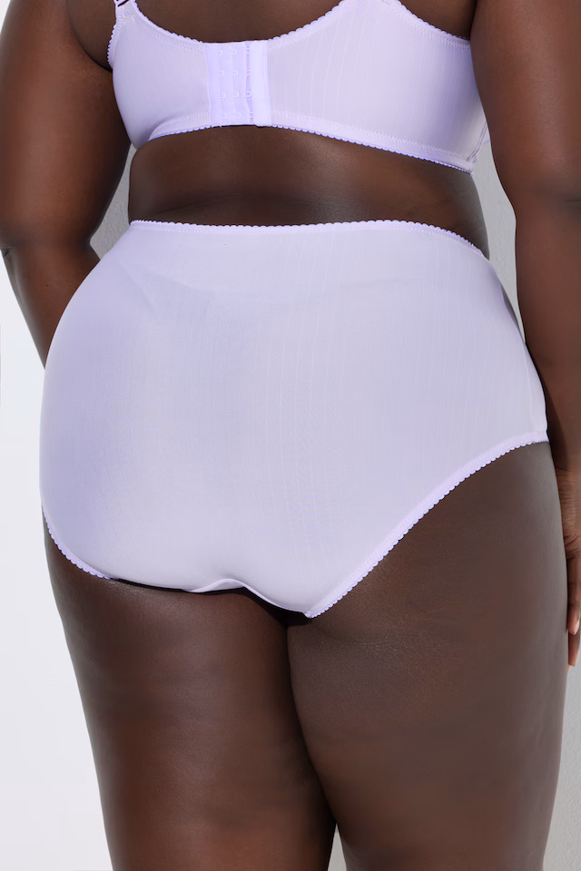 2 Pack of Stretch Microfiber Brief Panties - Pinstripe