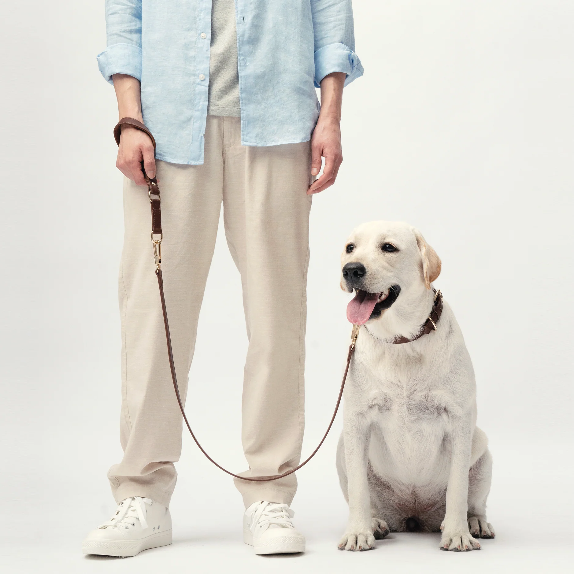 Classic Leash - Chocolate Brown