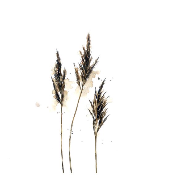 Servietter lunsj 33x33 cm 20 stk siv
