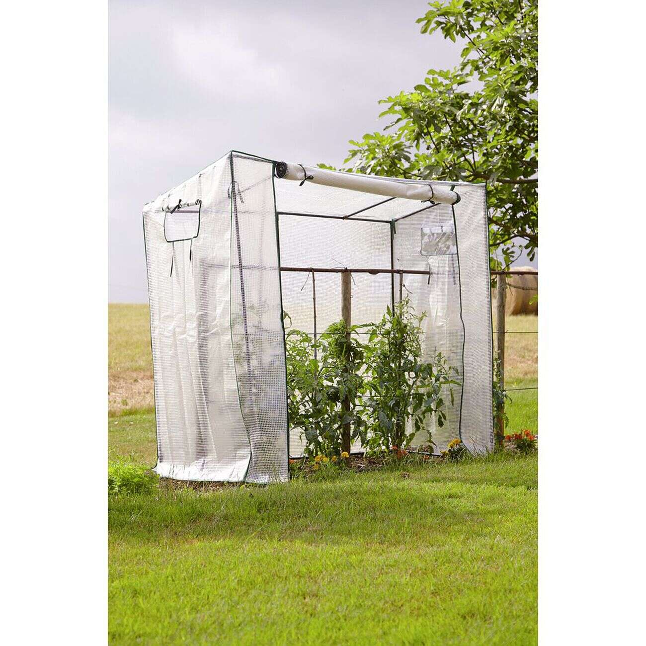 Serre à tomates en métal avec housse plastique 200x80xH150-169cm