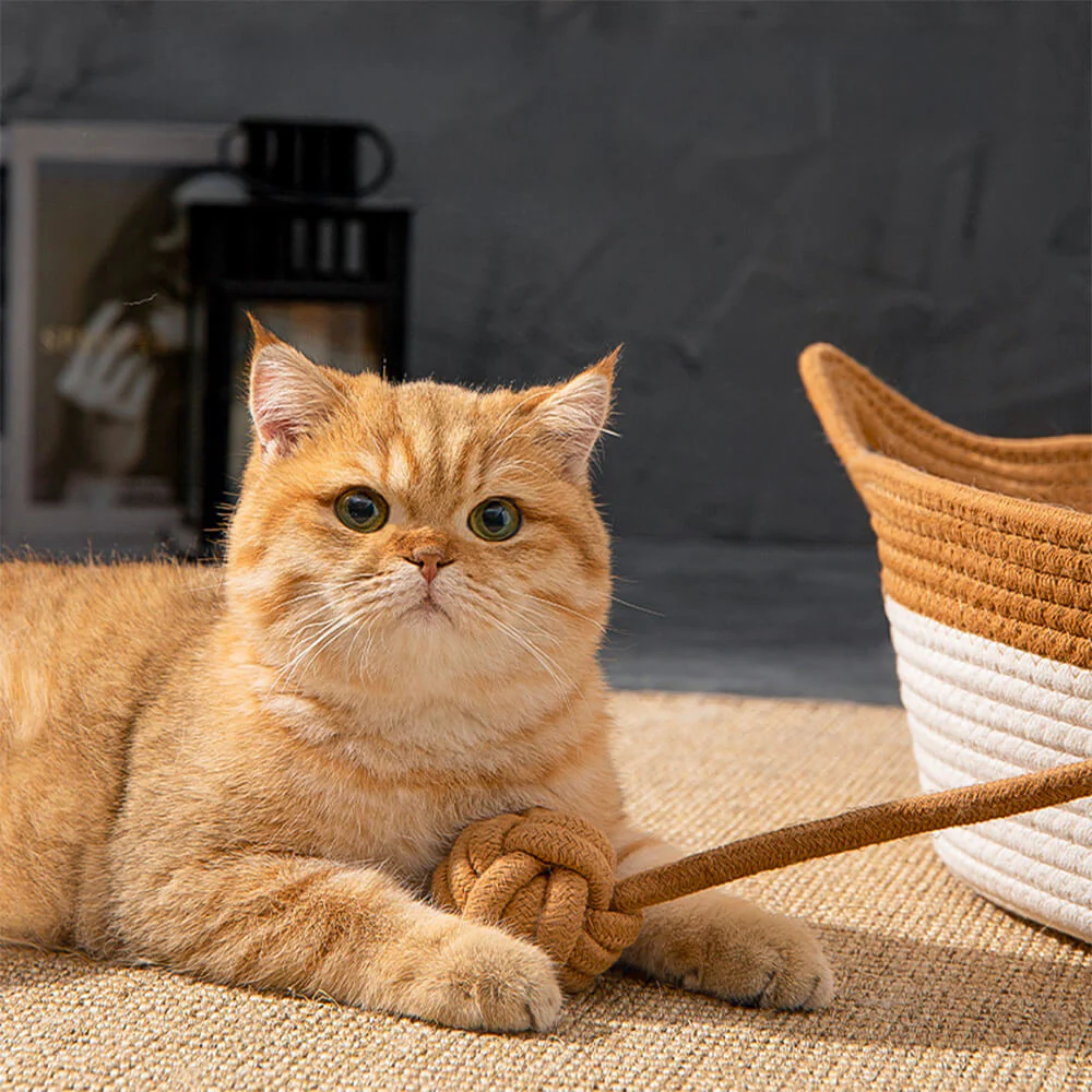 Handmade Cozy Multi-Use Durable Woven Cat Nest Bed