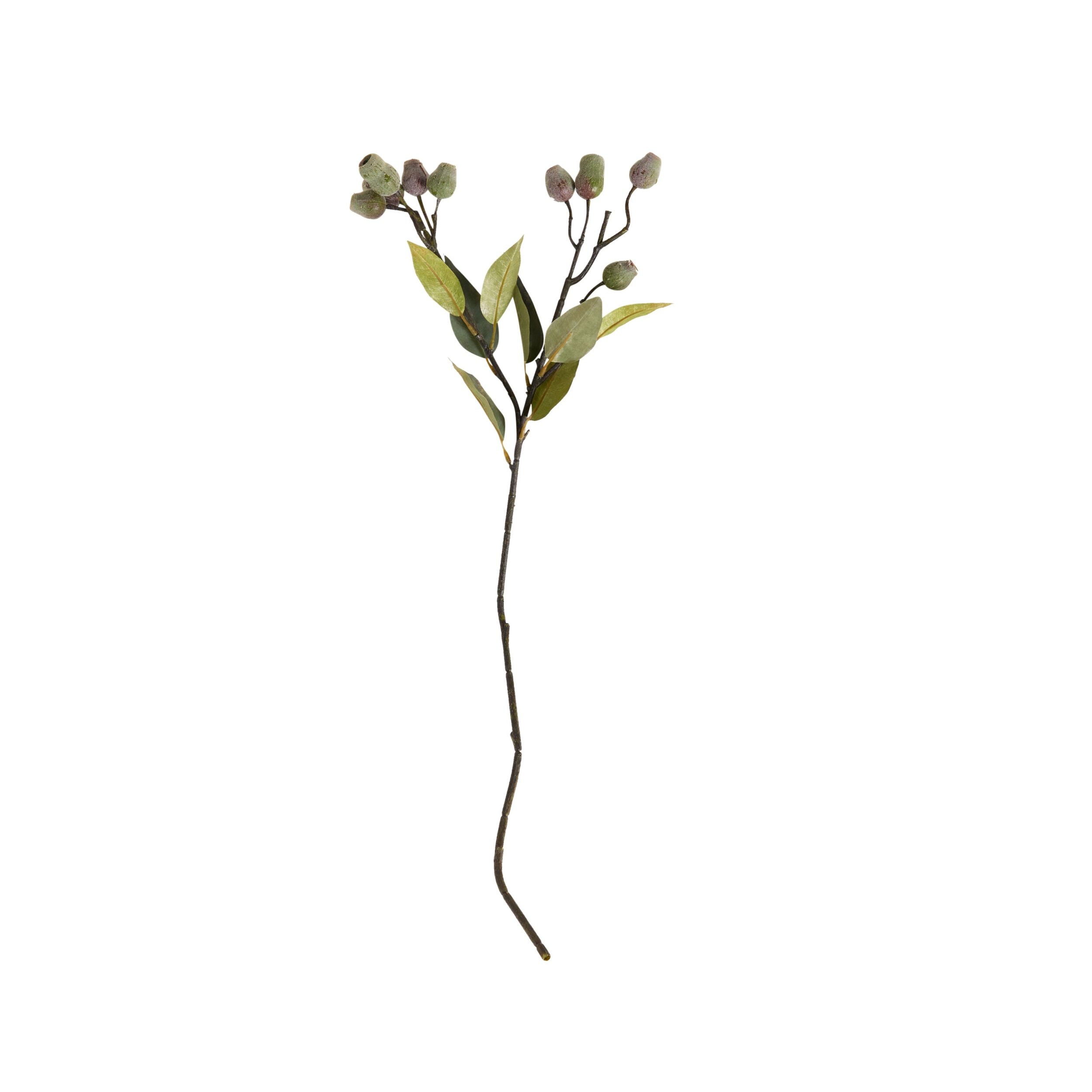 Bloomery Gumnut Stem 73cm
