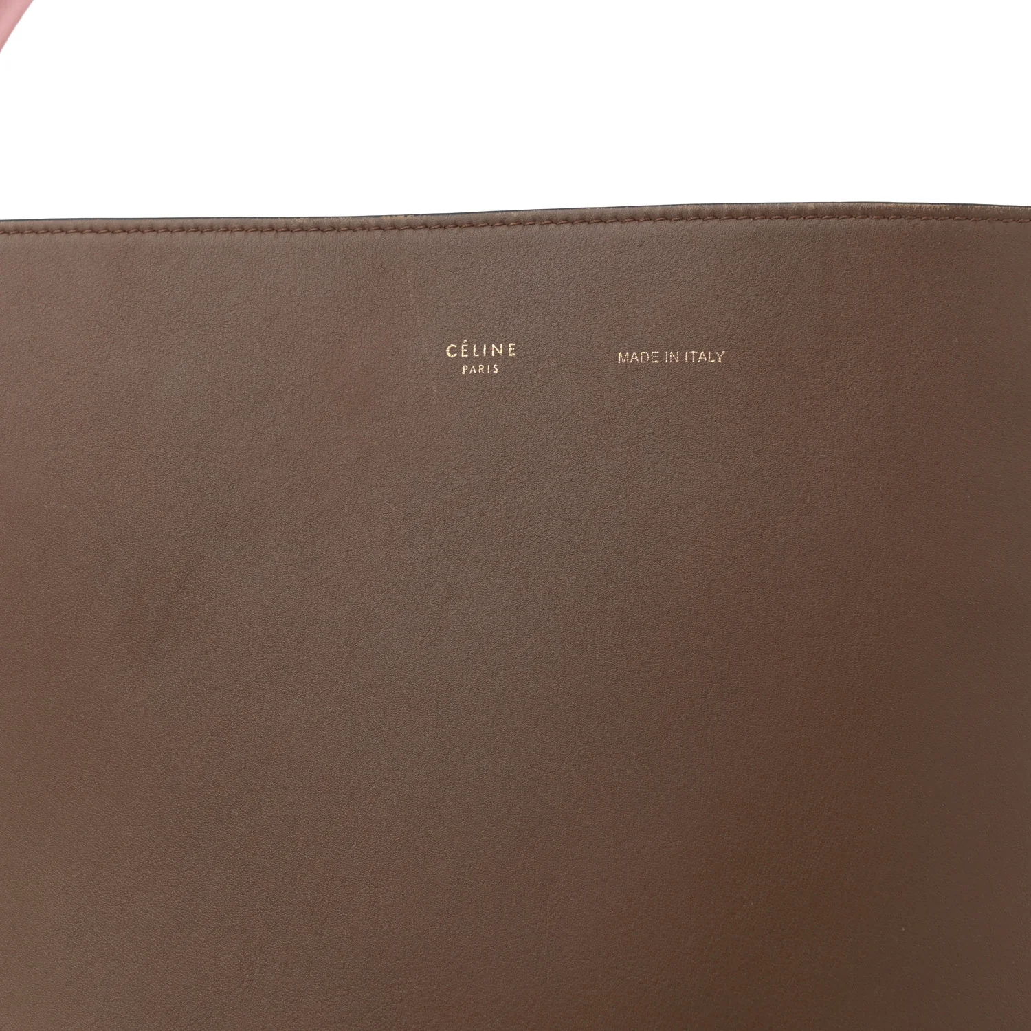 Shiny Smooth Calfskin Small Twisted Cabas Camel Brick