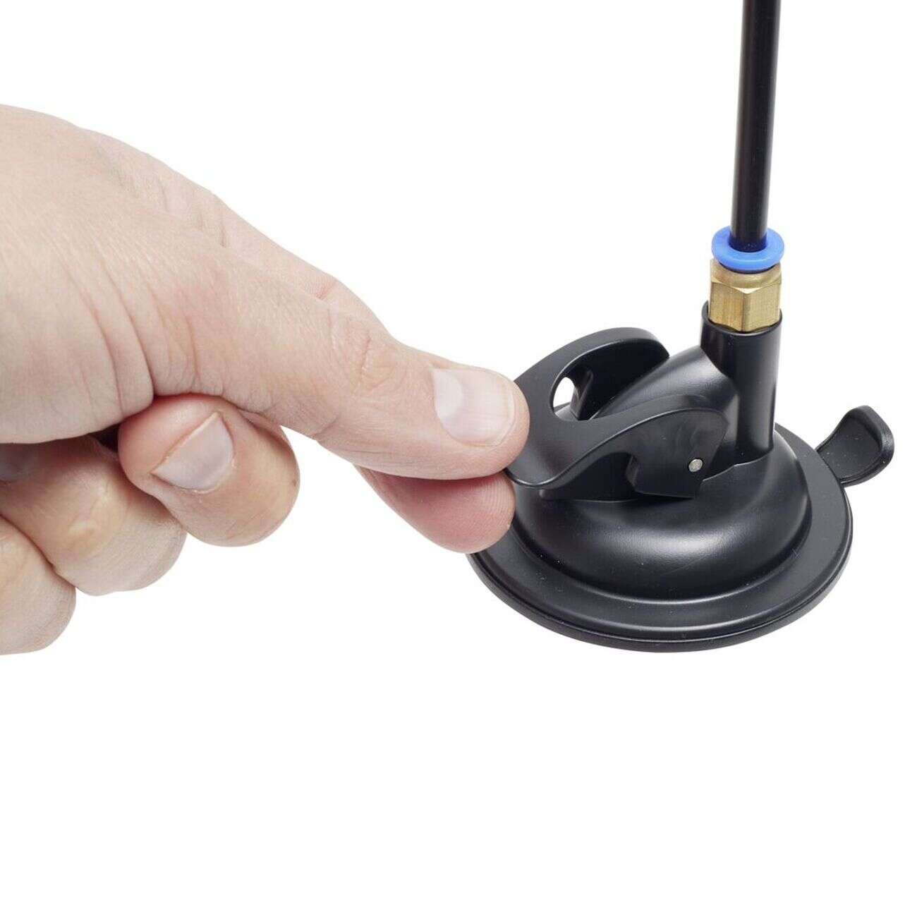 Jouet pour chat x10 avec plumes multicolores