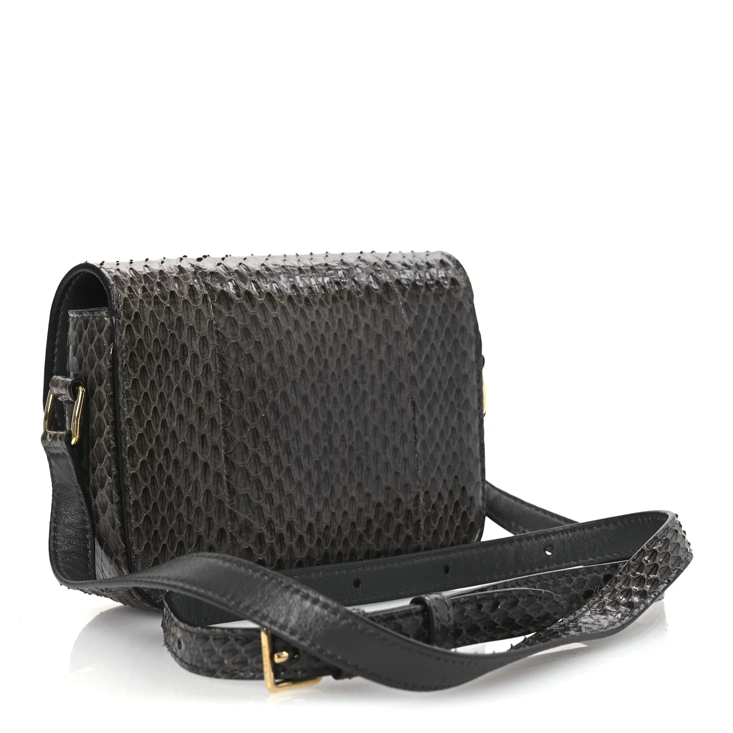 Watersnake Teen Triomphe Grey