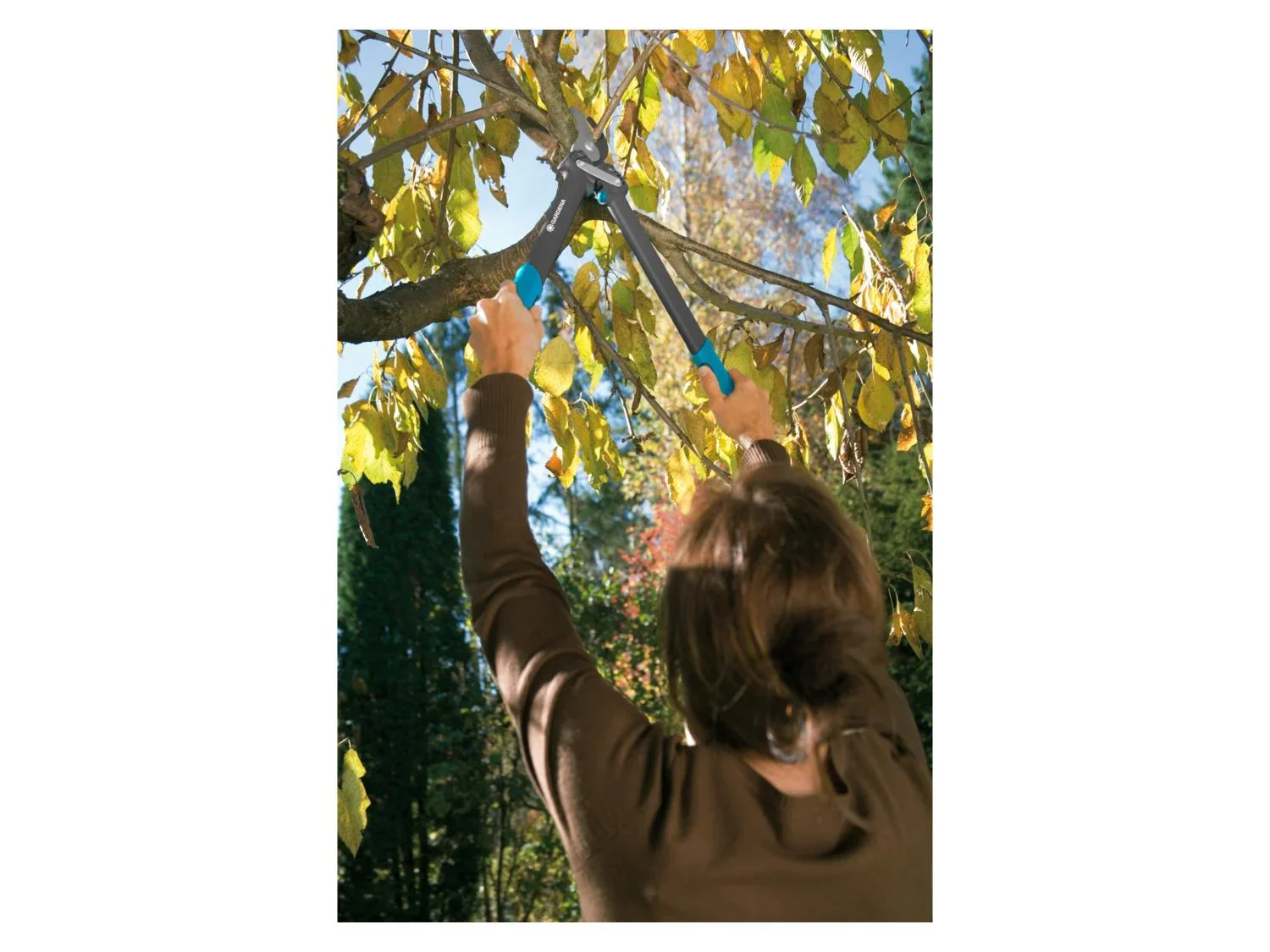 Gardena Coupe-branches 500 BL