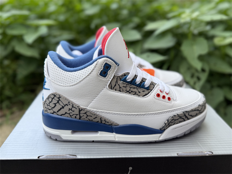 Jordan Air Jordan 3 Retro True Blue