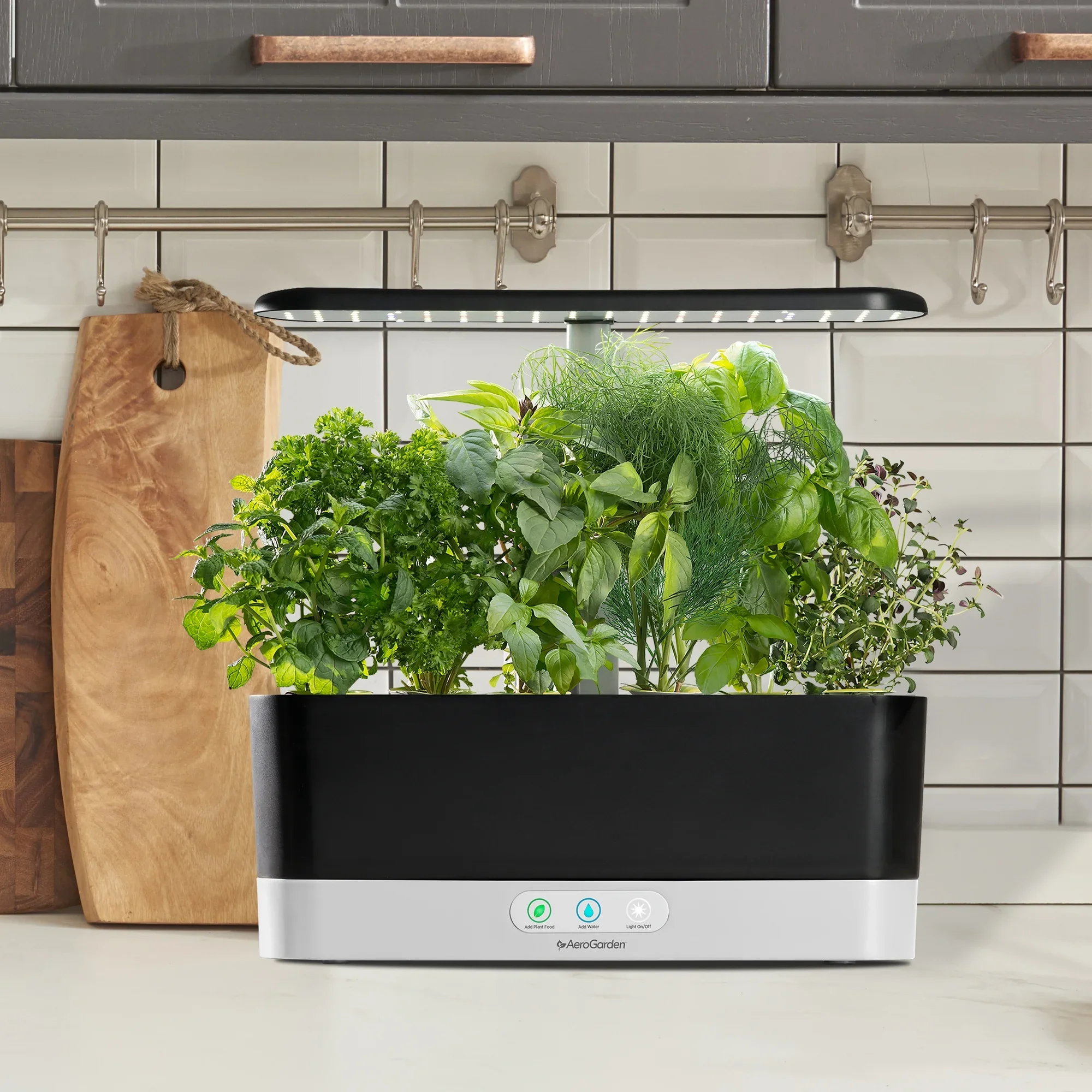 AeroGarden Harvest Slim with Gourmet Herb Seed Pod Kit, Black