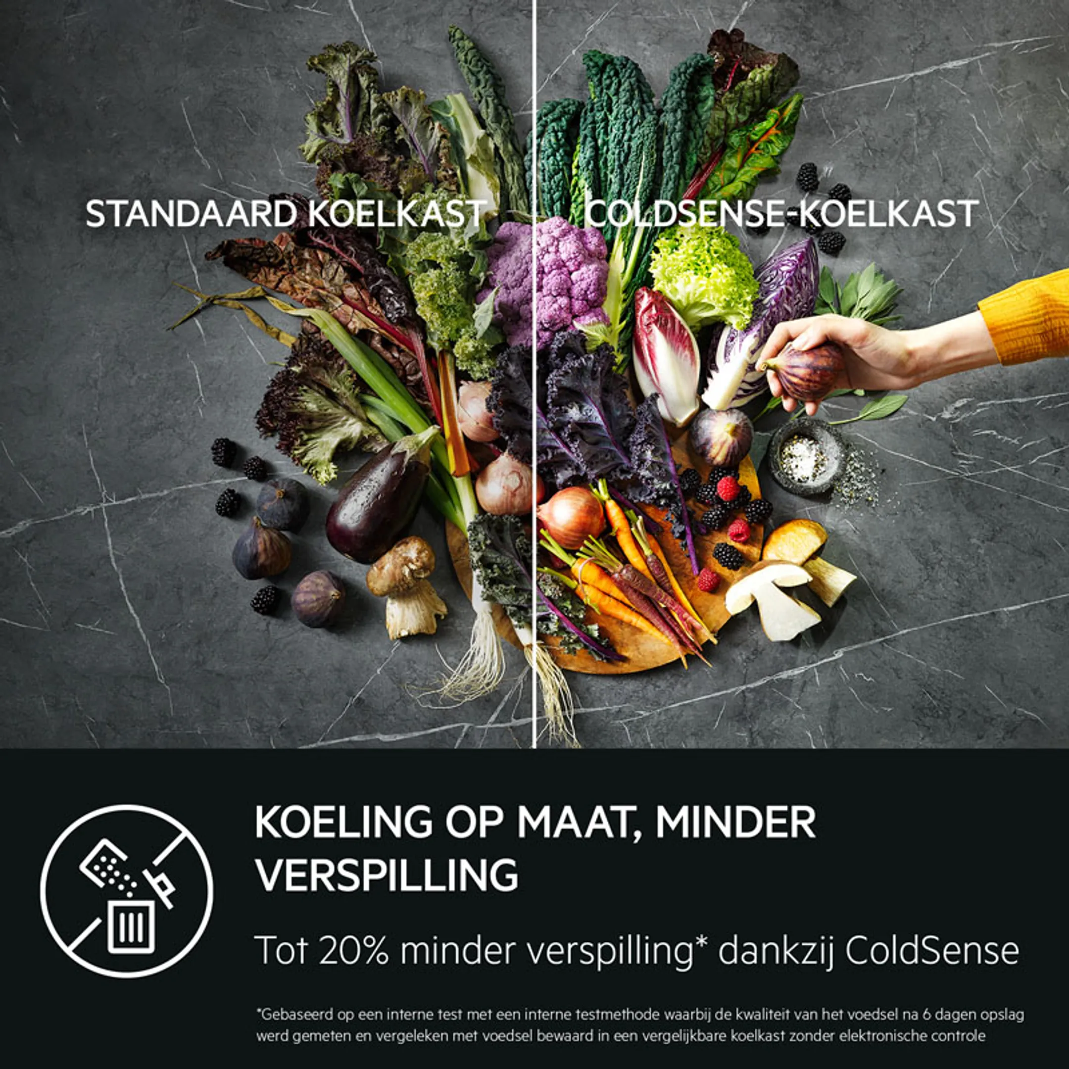 AEG Koelkast met diepvries RDB428E1AX LowFrost