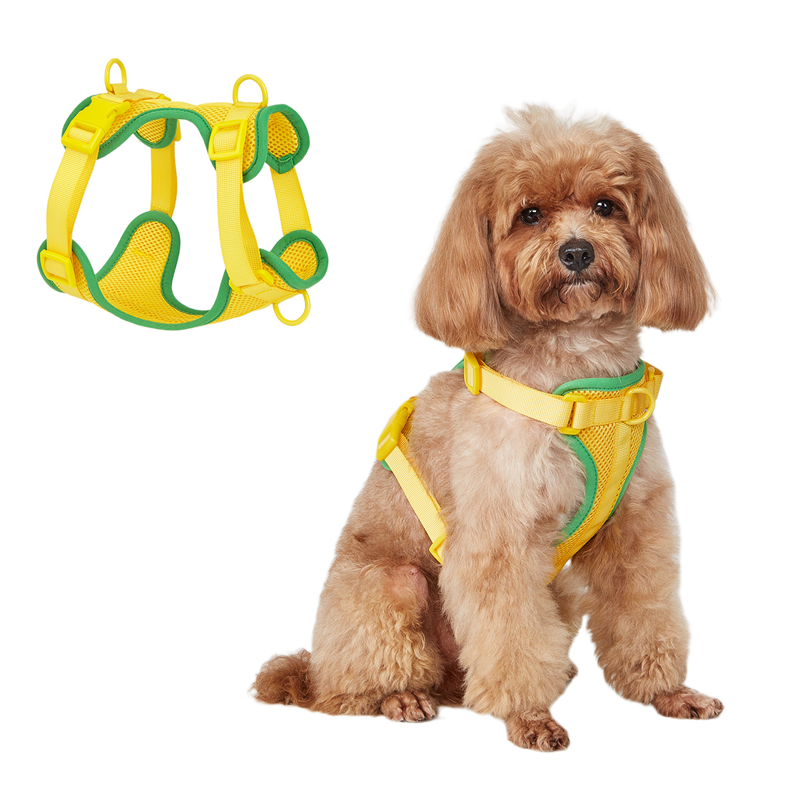 Adjustable Pet Harness Vest Multi-Color Comfort Mesh Dog Harness for Small Medium Large Cats Puppies Dogs Polyester