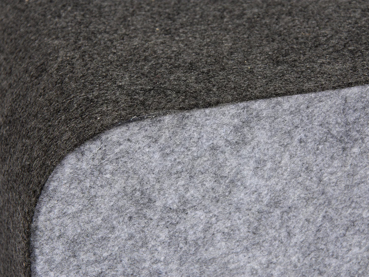 Karlie Arbre  chat, gris