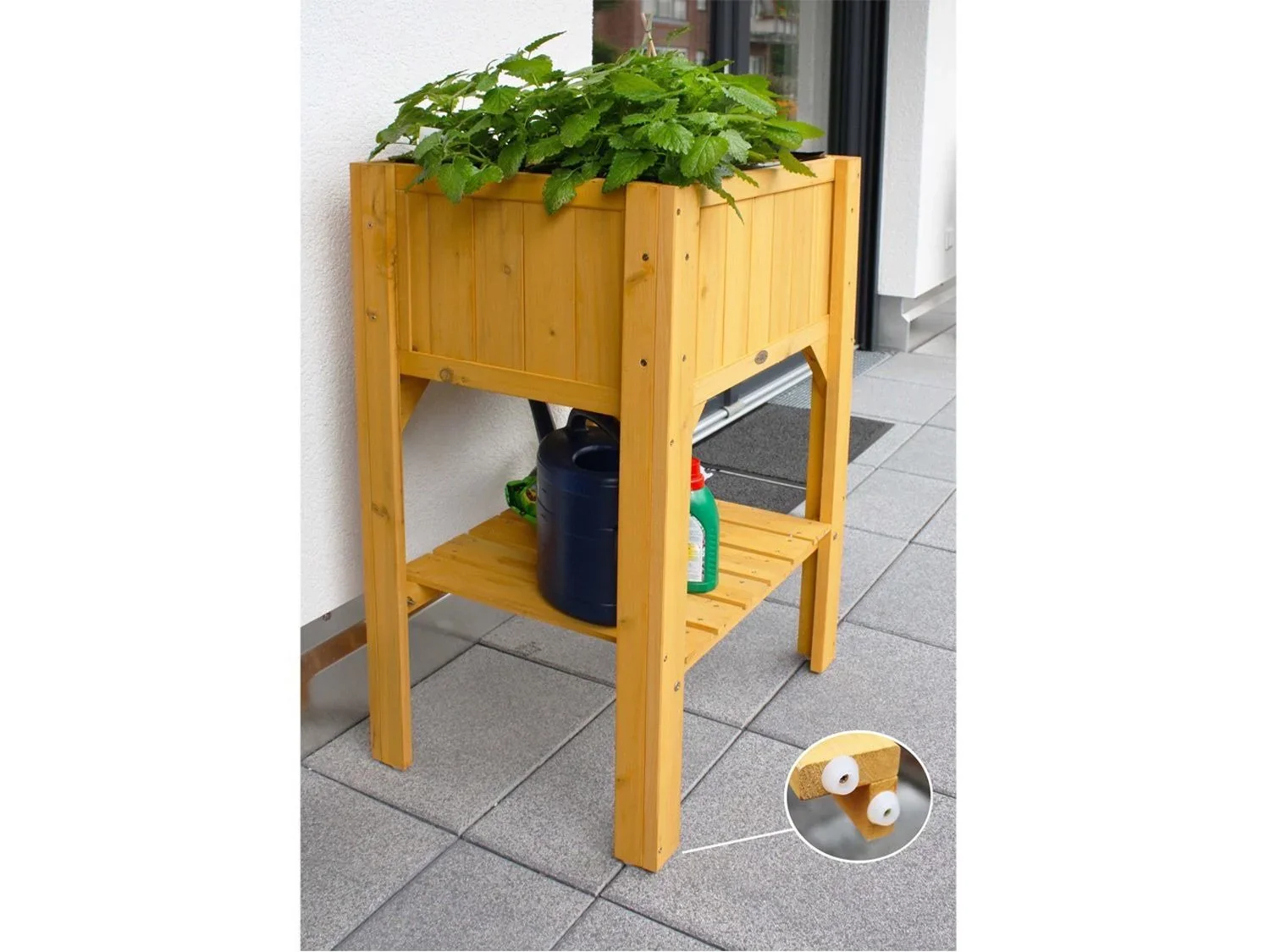 HABAU Plateau surlev compact