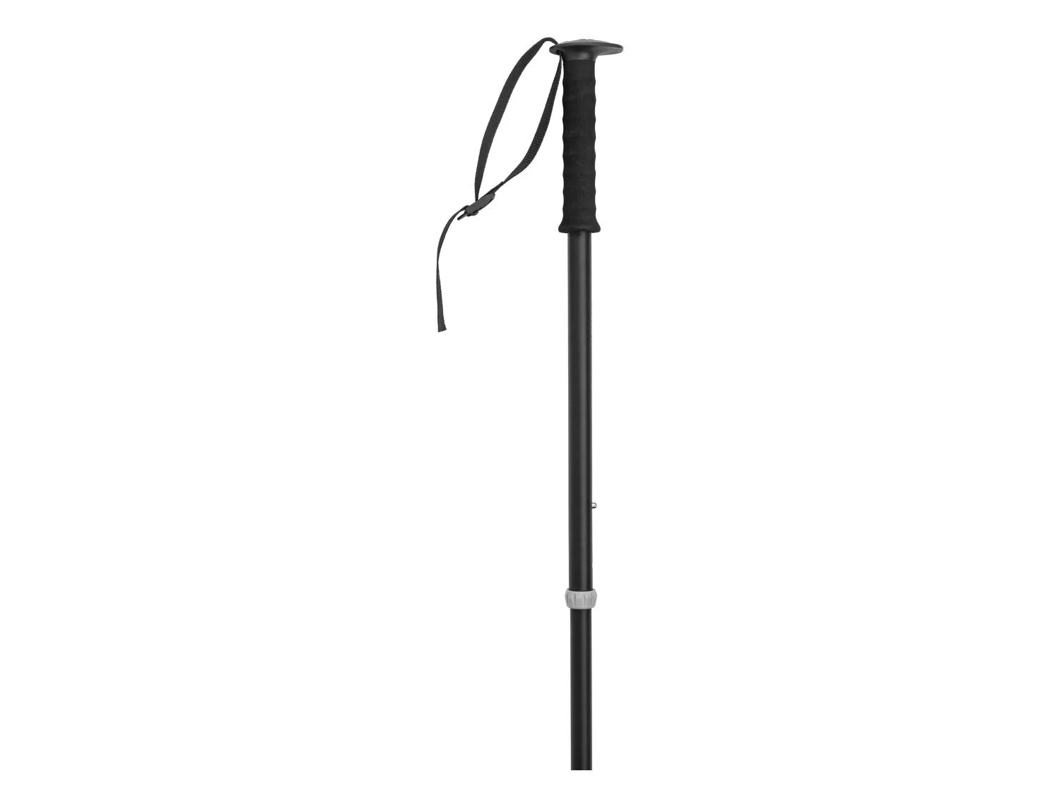 CRIVIT Lot de 2 btons de trekking