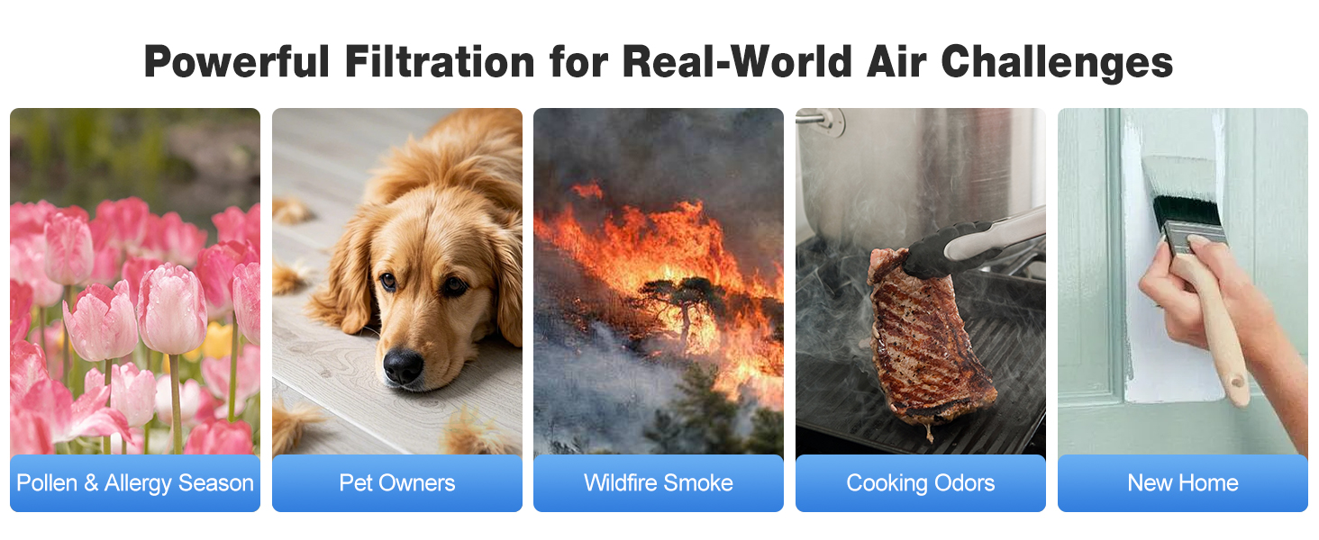 air purifier