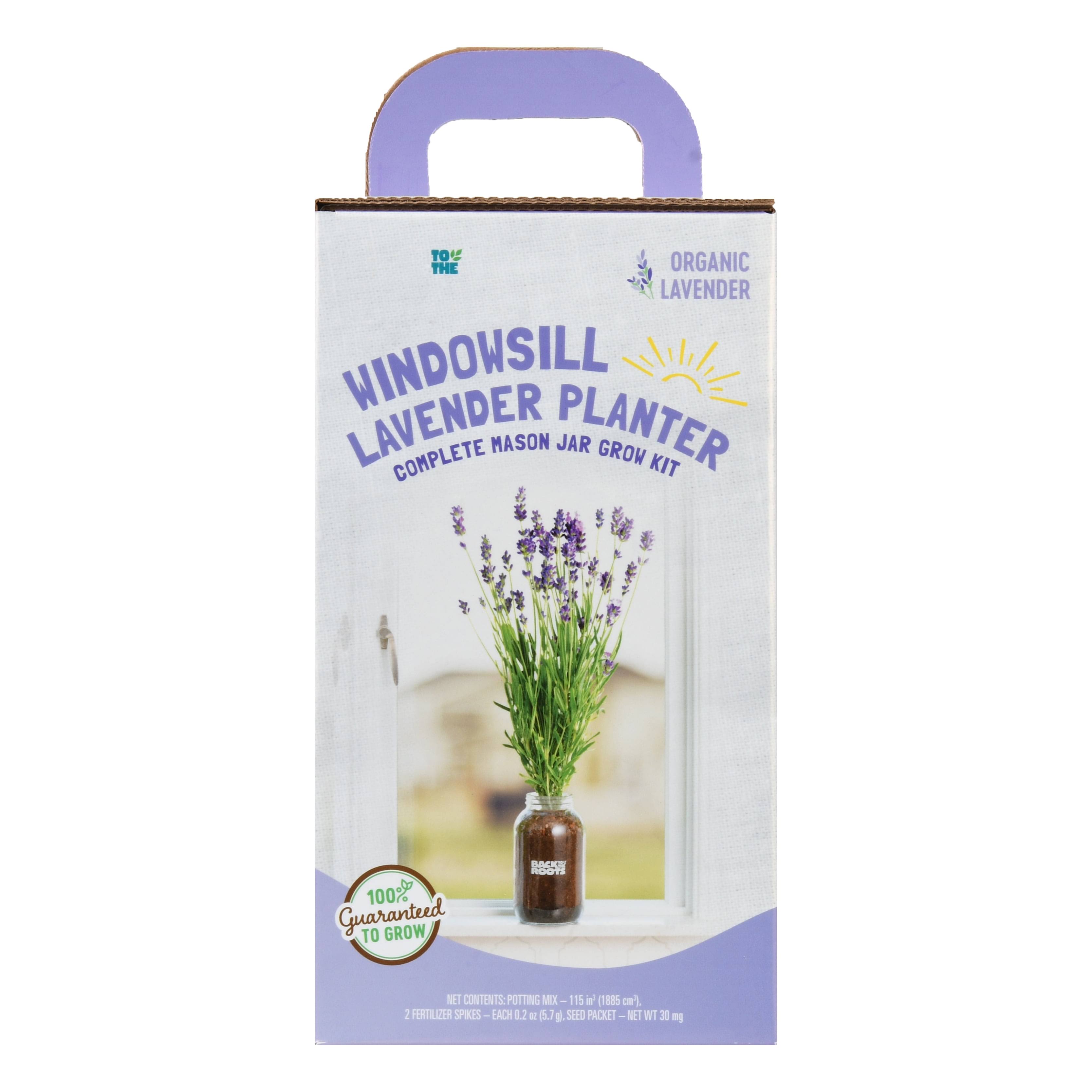 Back to The Roots Organic Lavender Windowsill Planter
