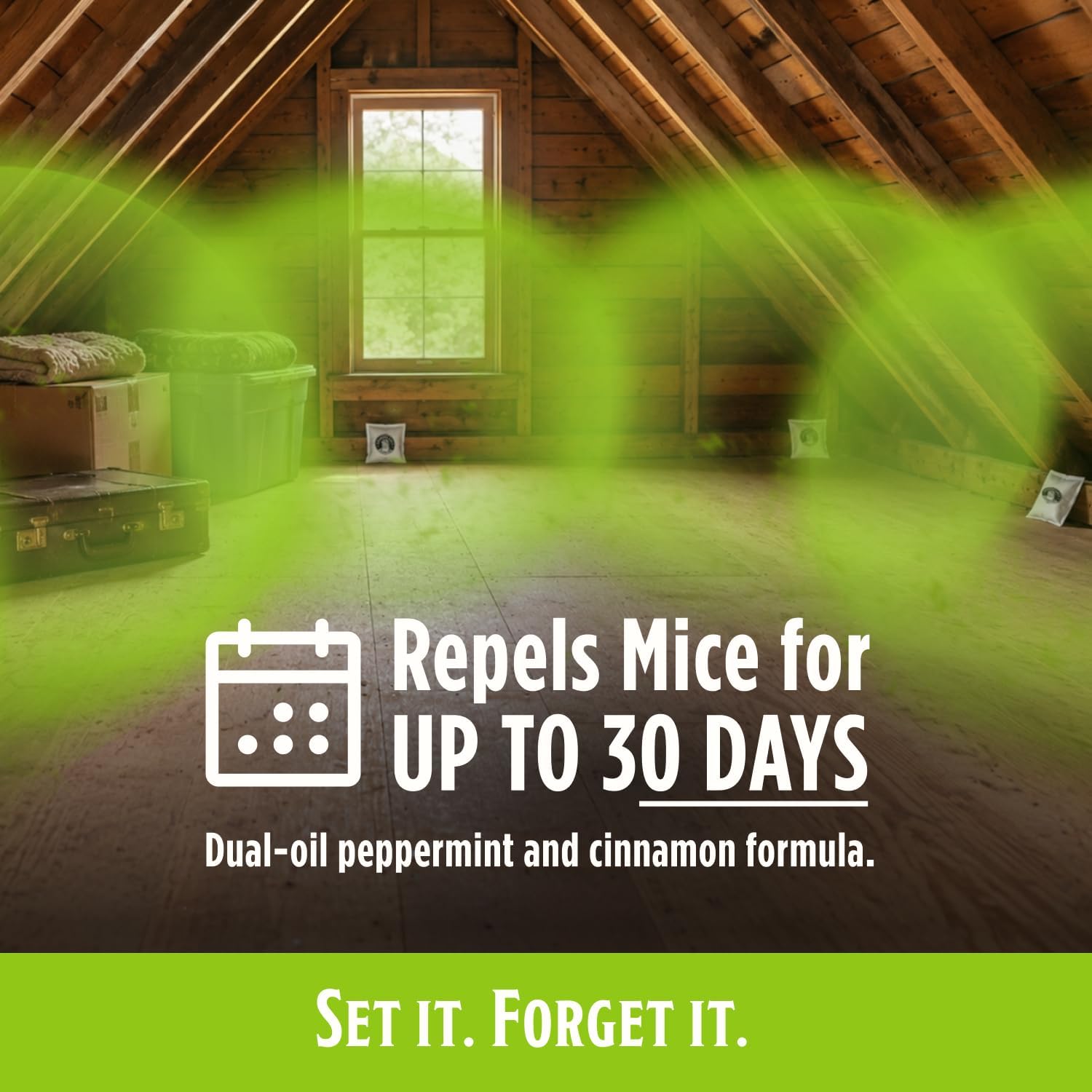 Grandpa Gus's Mouse Repellent Pouches, Natural Peppermint Oil, 10 Pouches| Cinnamon & Peppermint Oil Helps Repel Mice from Nesting in Home/Cabin/Boat/Car Storage/RV/Machinery/Shed, Kid & Pet Safe
