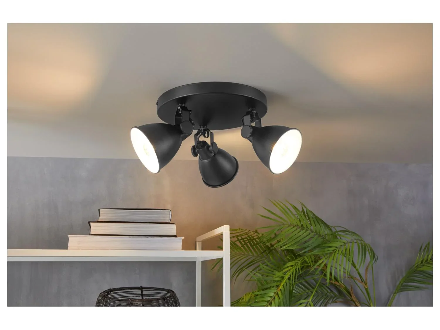 LIVARNO Plafonnier  LED