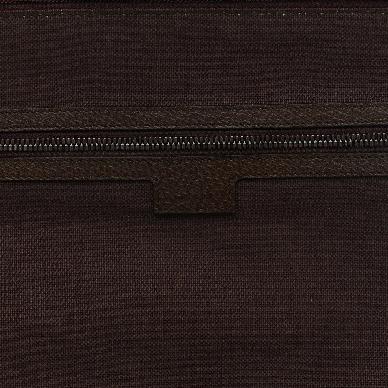 GG Supreme Monogram Textured Dollar Calfskin Web Ophidia Savoy Garment Bag Beige Ebony New Acero