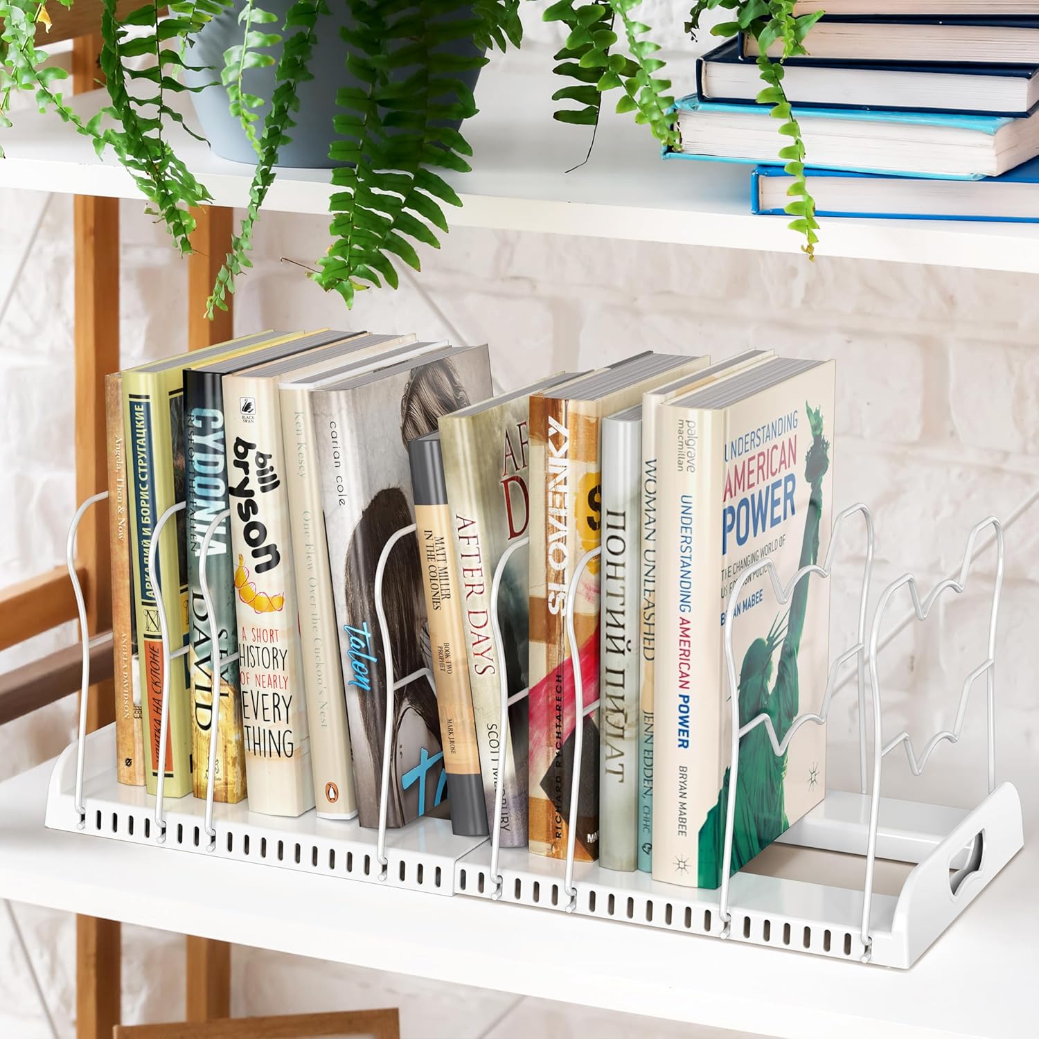 Simple Houseware Expandable Pan Rack 10 Adjustable Compartments, White