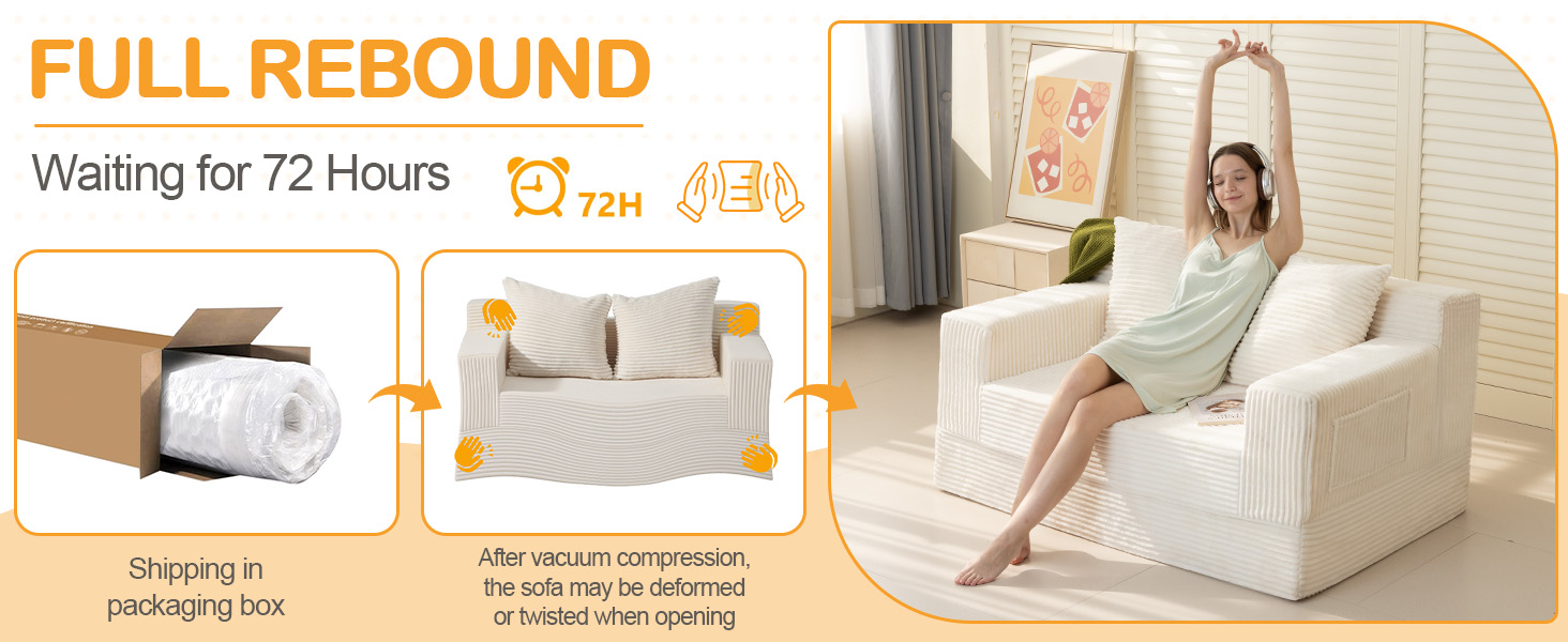 loveseat sleeper sofa
