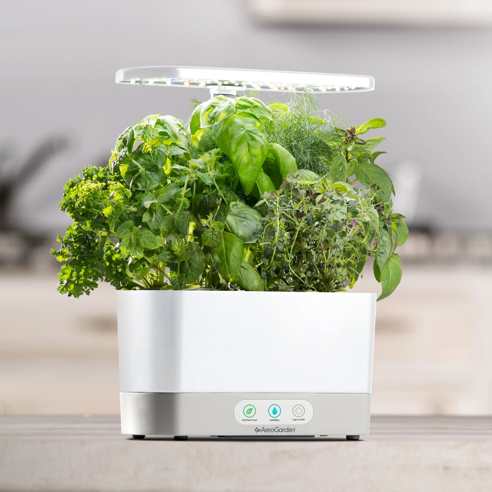 AeroGarden Harvest, White with Gourmet Herbs Seed Kit