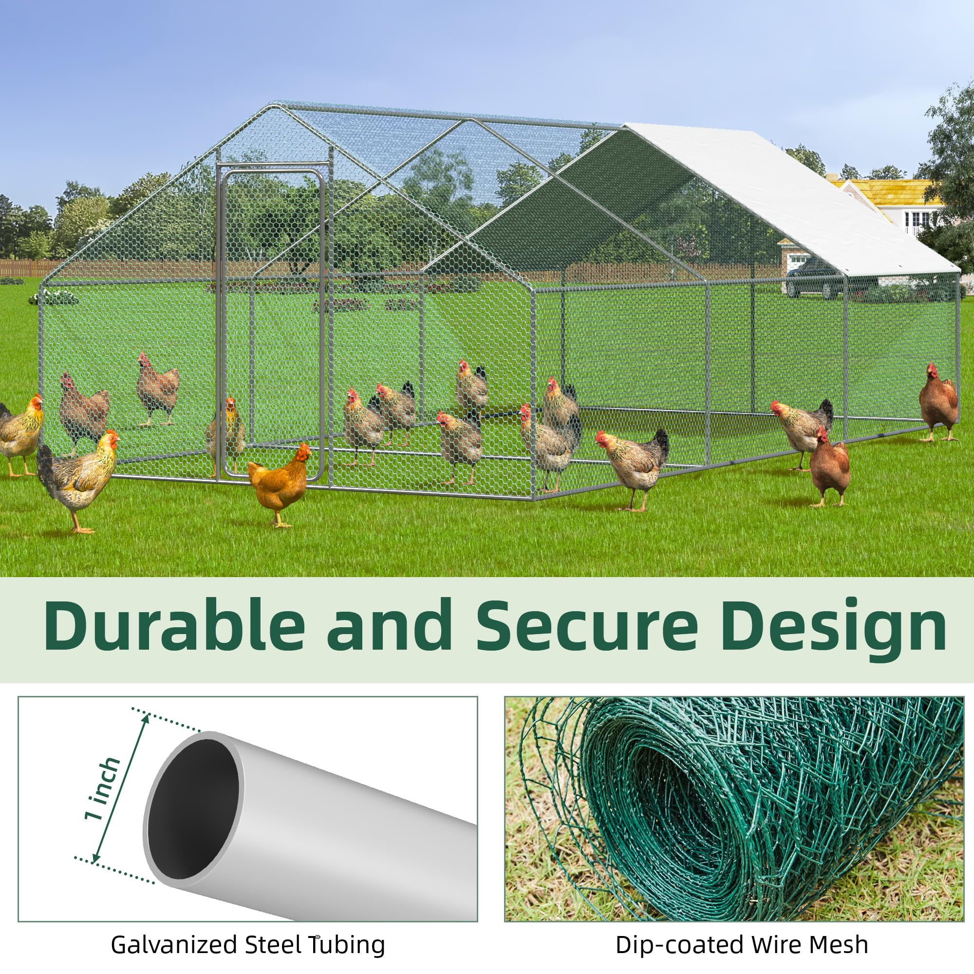 AECOJOY Large Walk-in Chicken Coop Run for 15-20 Chickens, 19.5x10x6.4 FT