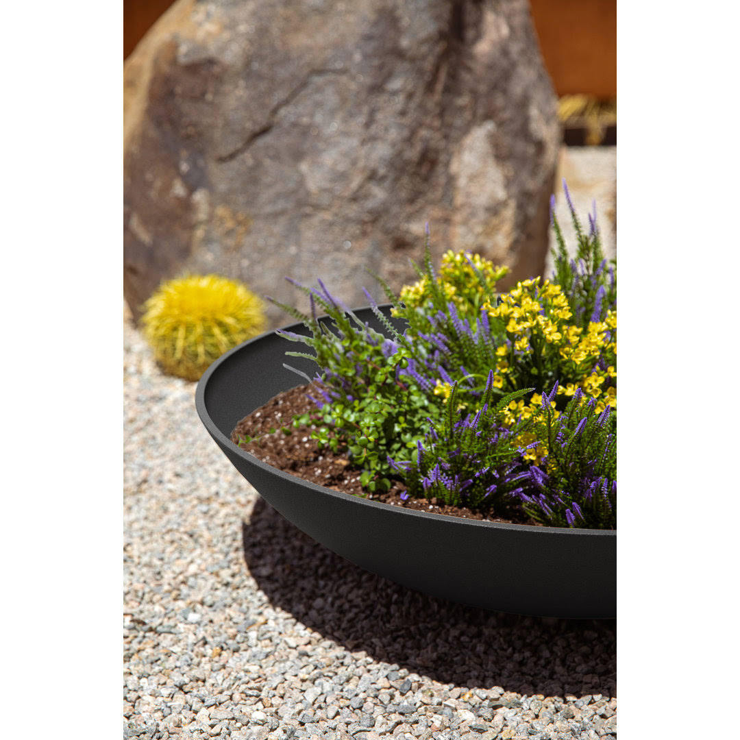 Pure Series Lane Bowl Planter Mercury Row Size: 8