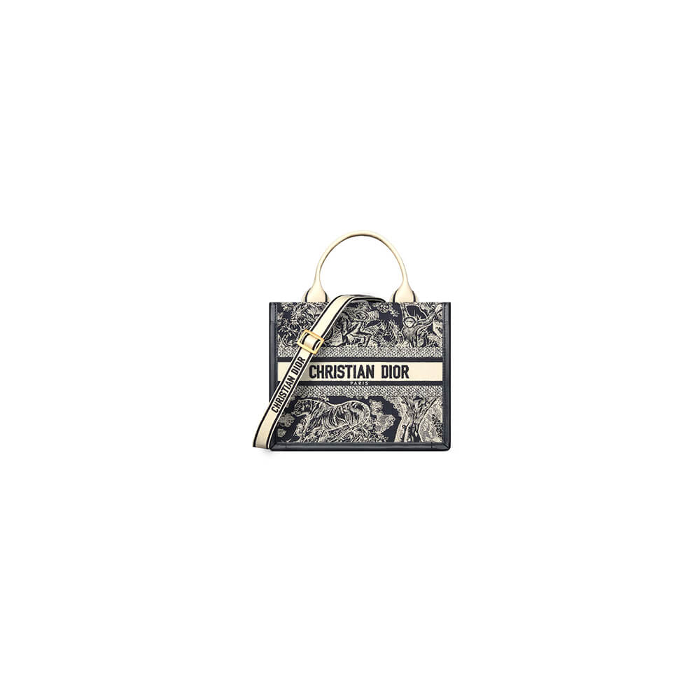 Small Dior Book Tote