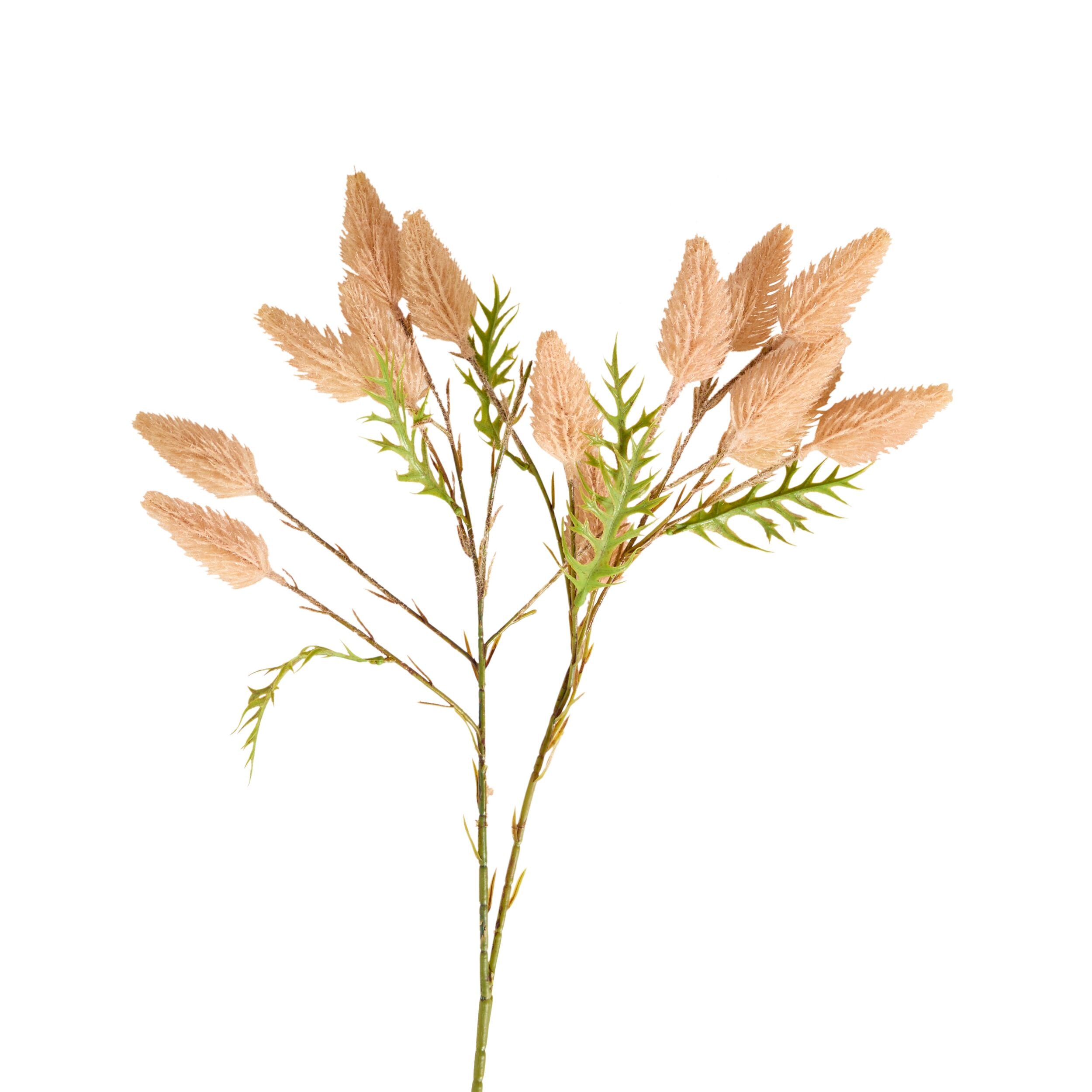 Bloomery Mulla Mulla Stem Pink 71cm