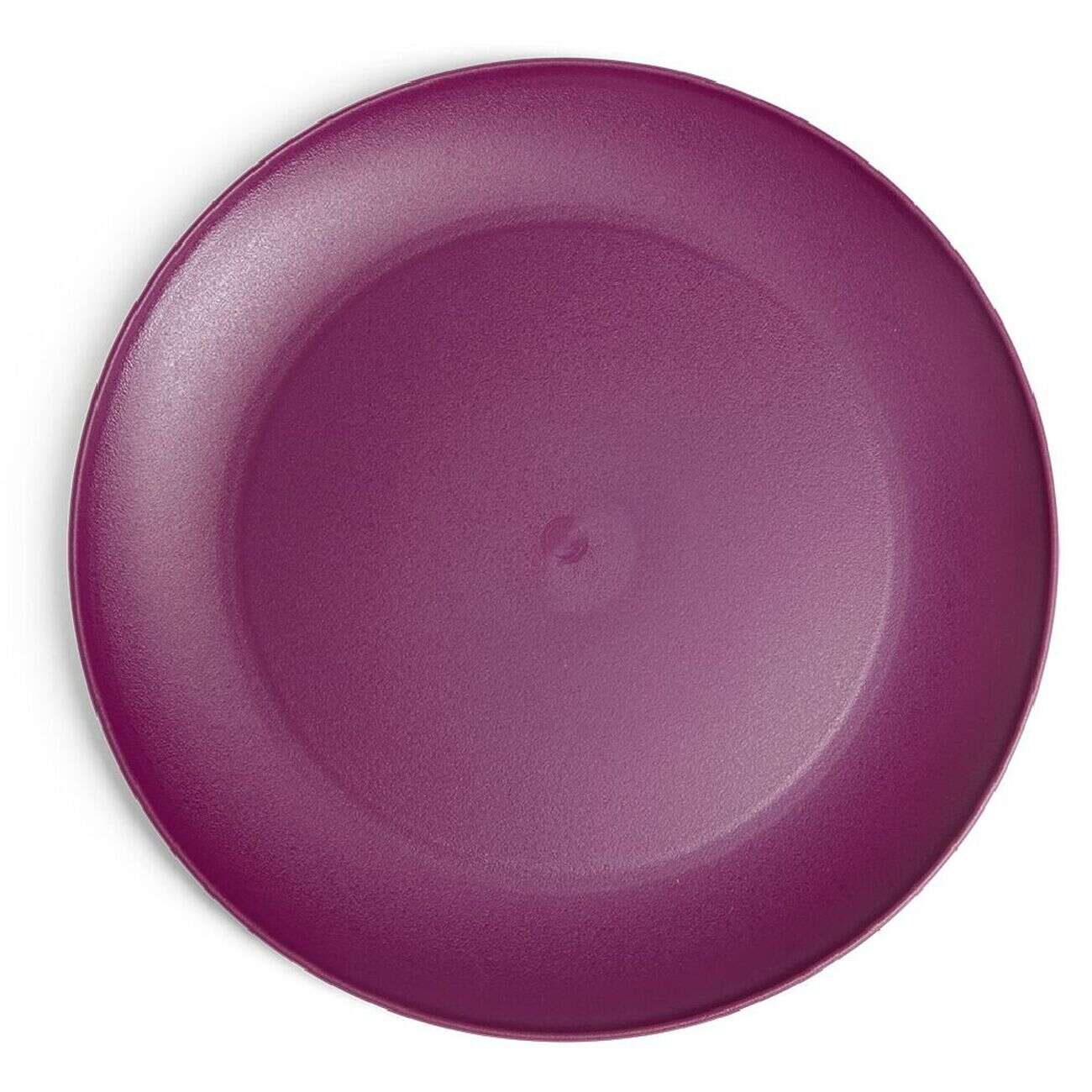 Assiette plate ronde plastique Ø23,5cm (3 modèles)