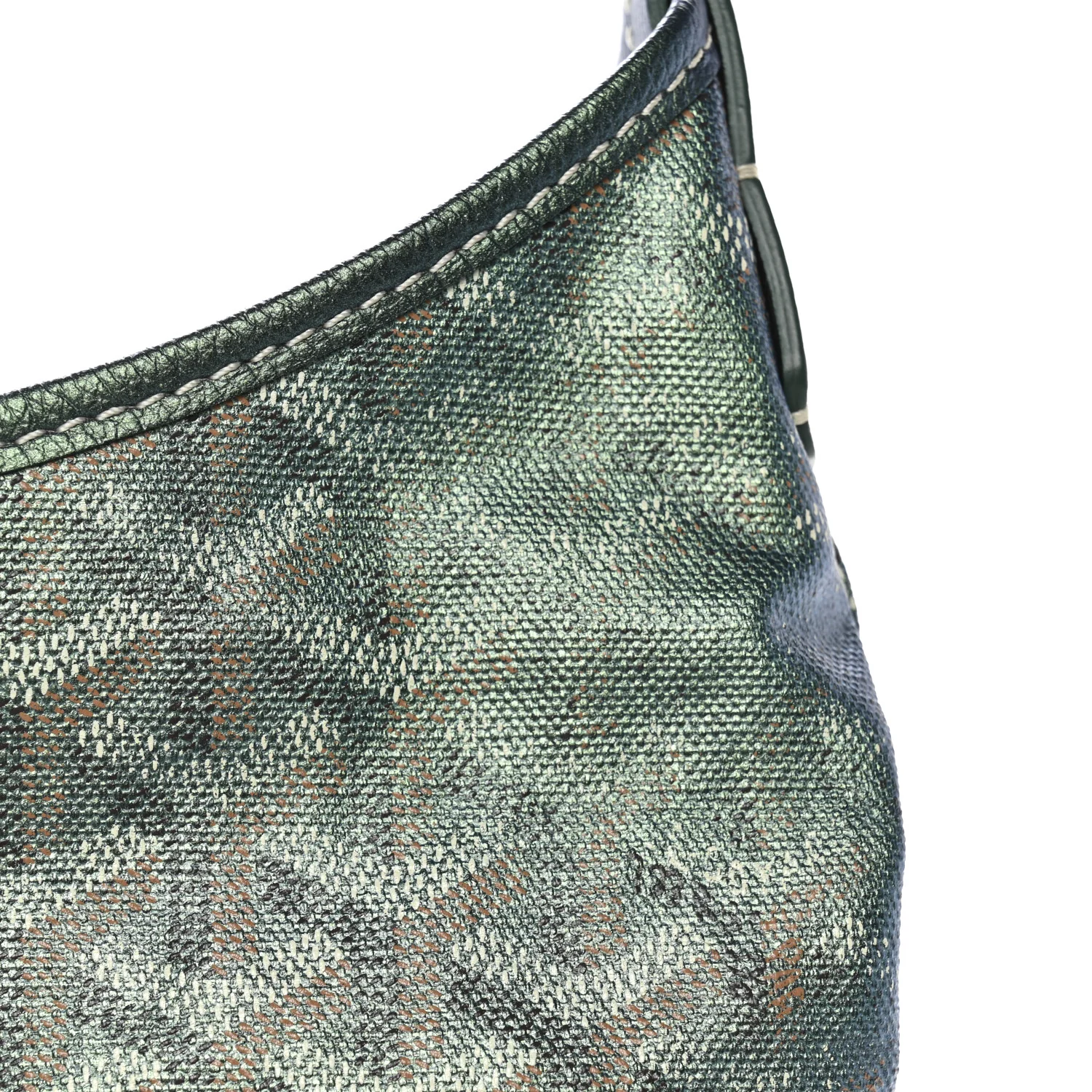 Iridescent Goyardine Boheme Hobo Pearly Green
