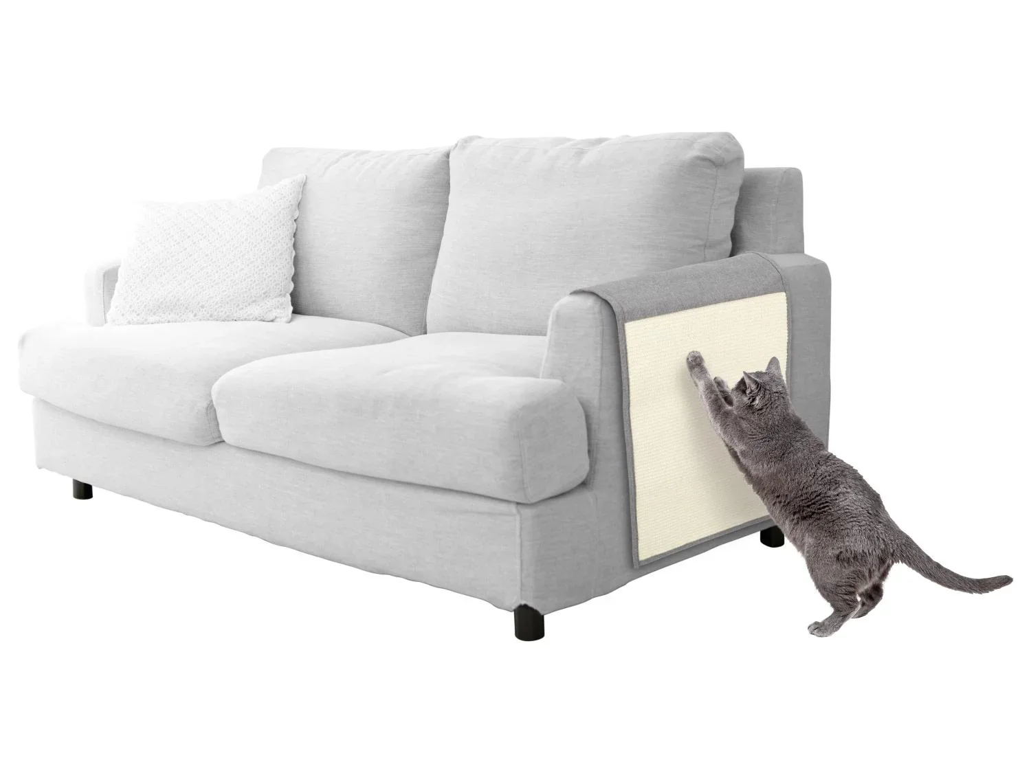 zoofari Griffoir(s) pour chat
