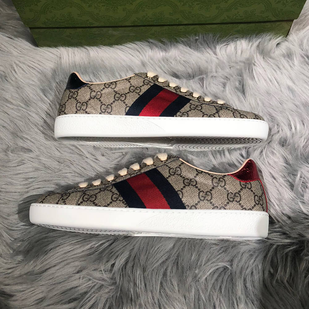 Ace GG Supreme sneaker with bees