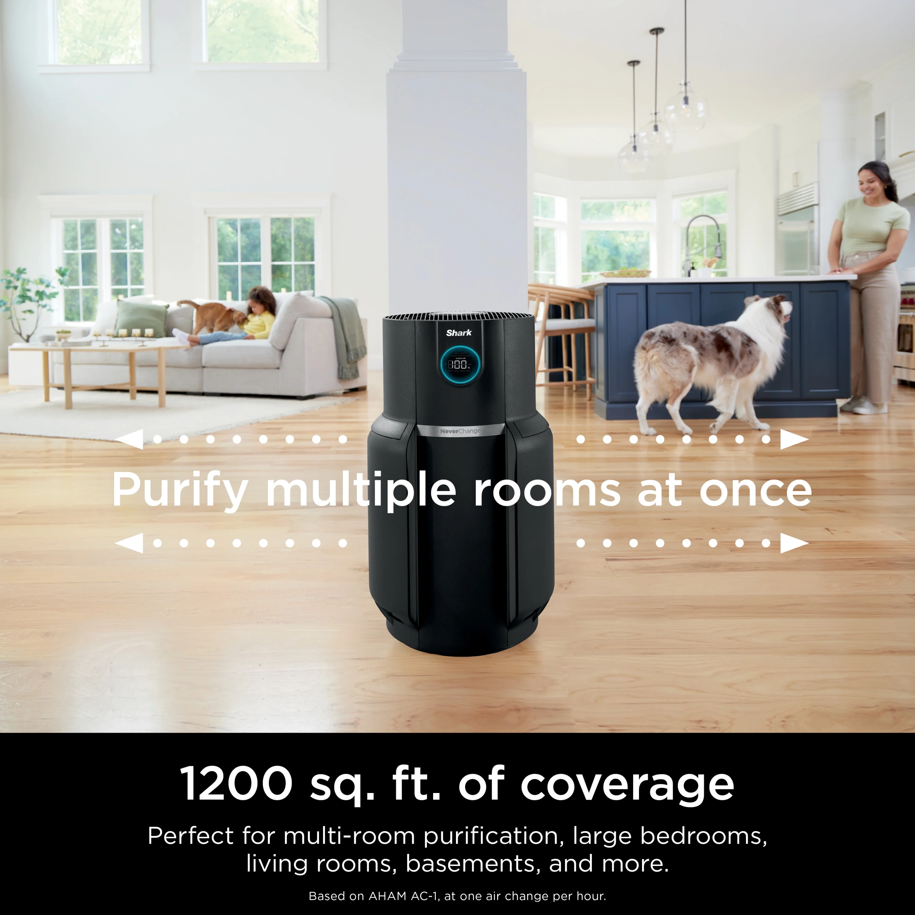 Never Change Air Purifier MAX, 5-Year HEPA Filter, 1200 Sq. ft., Charcoal Gray, HP300 - Image 6